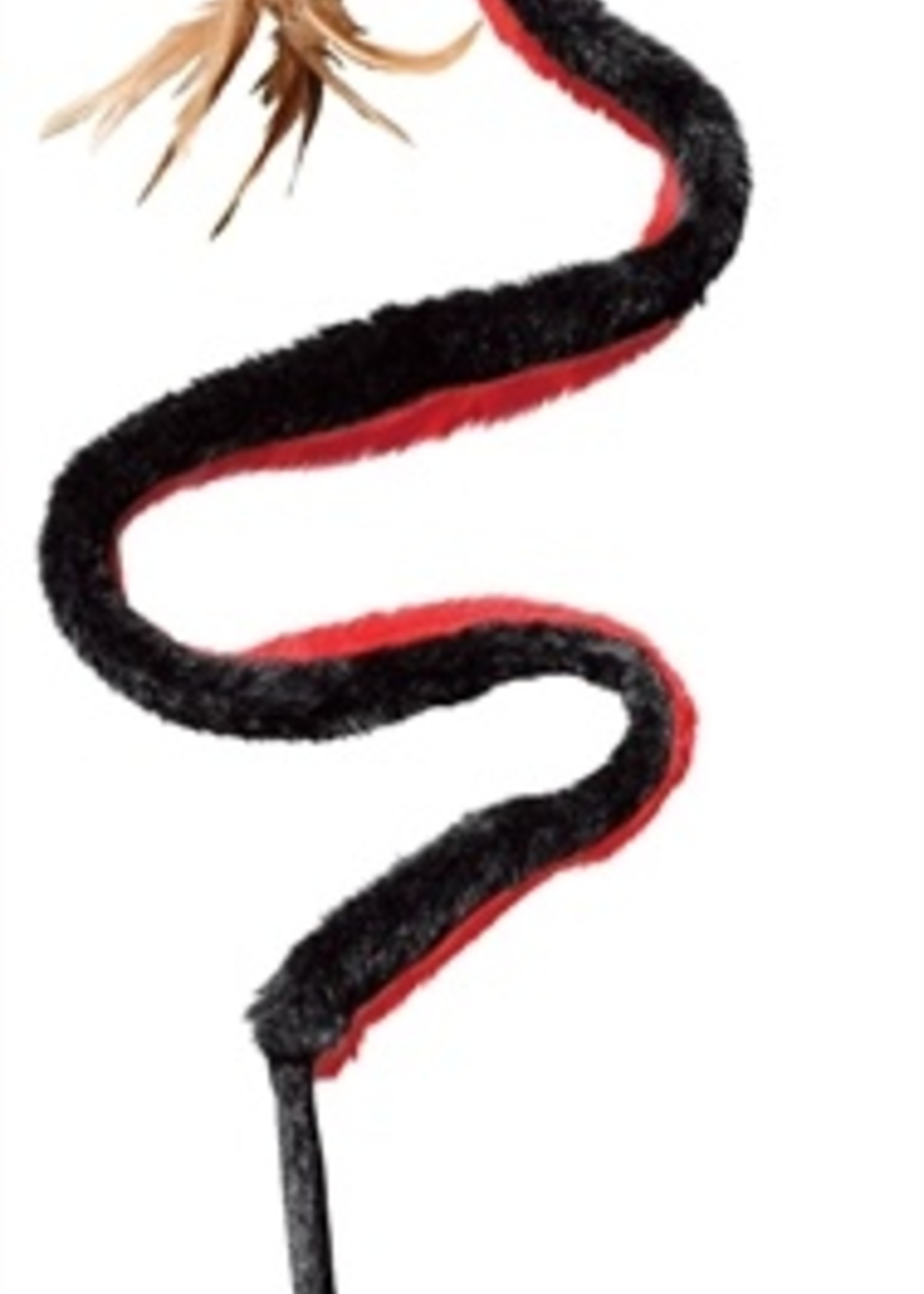 Kong Kong kat snake teaser