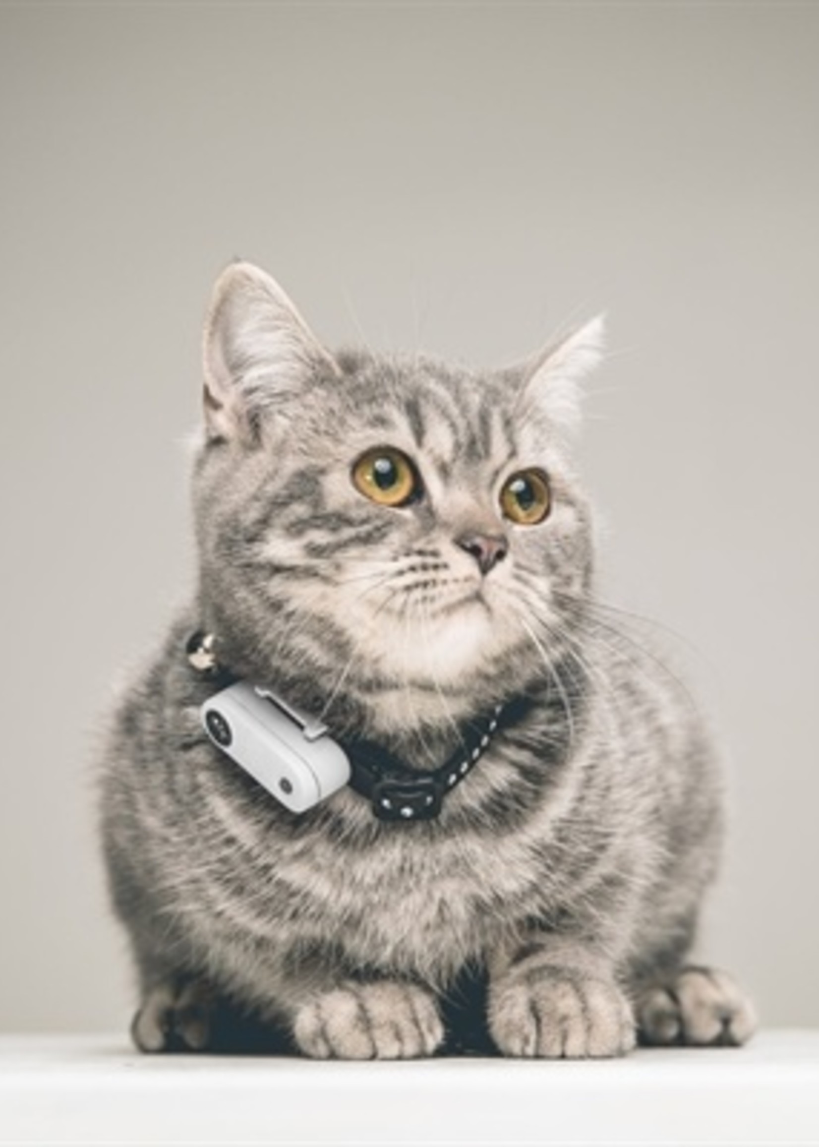 Tickless Tickless teek en vlo afweer voor kat wit