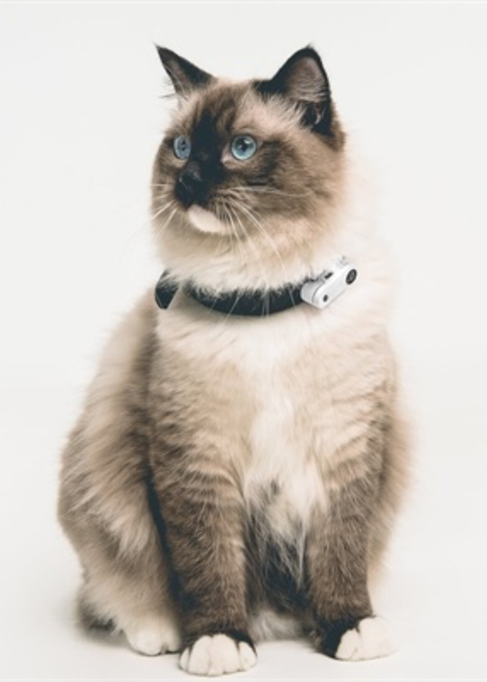 Tickless Tickless teek en vlo afweer voor kat wit