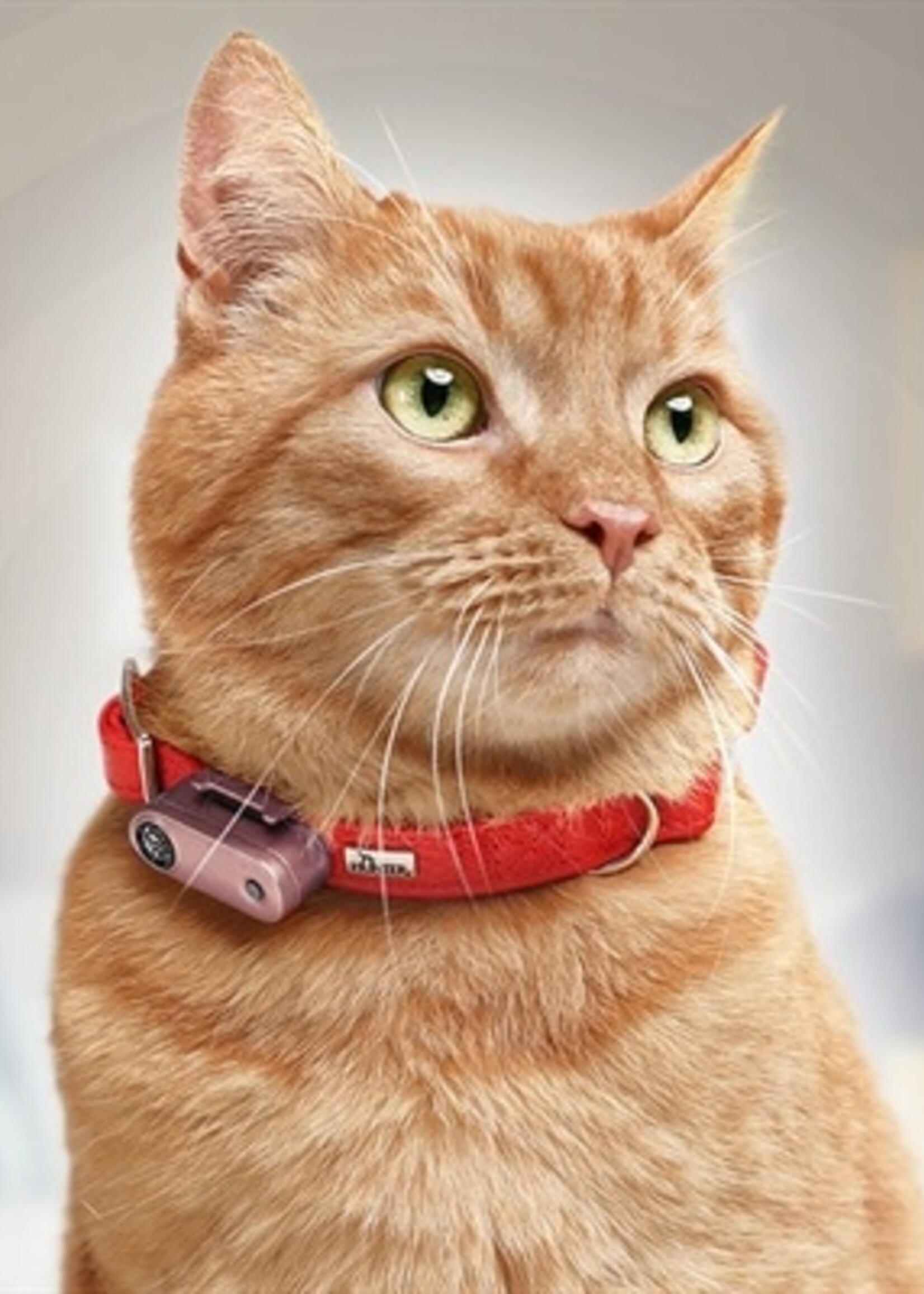 Tickless Tickless teek en vlo afweer voor kat rose gold