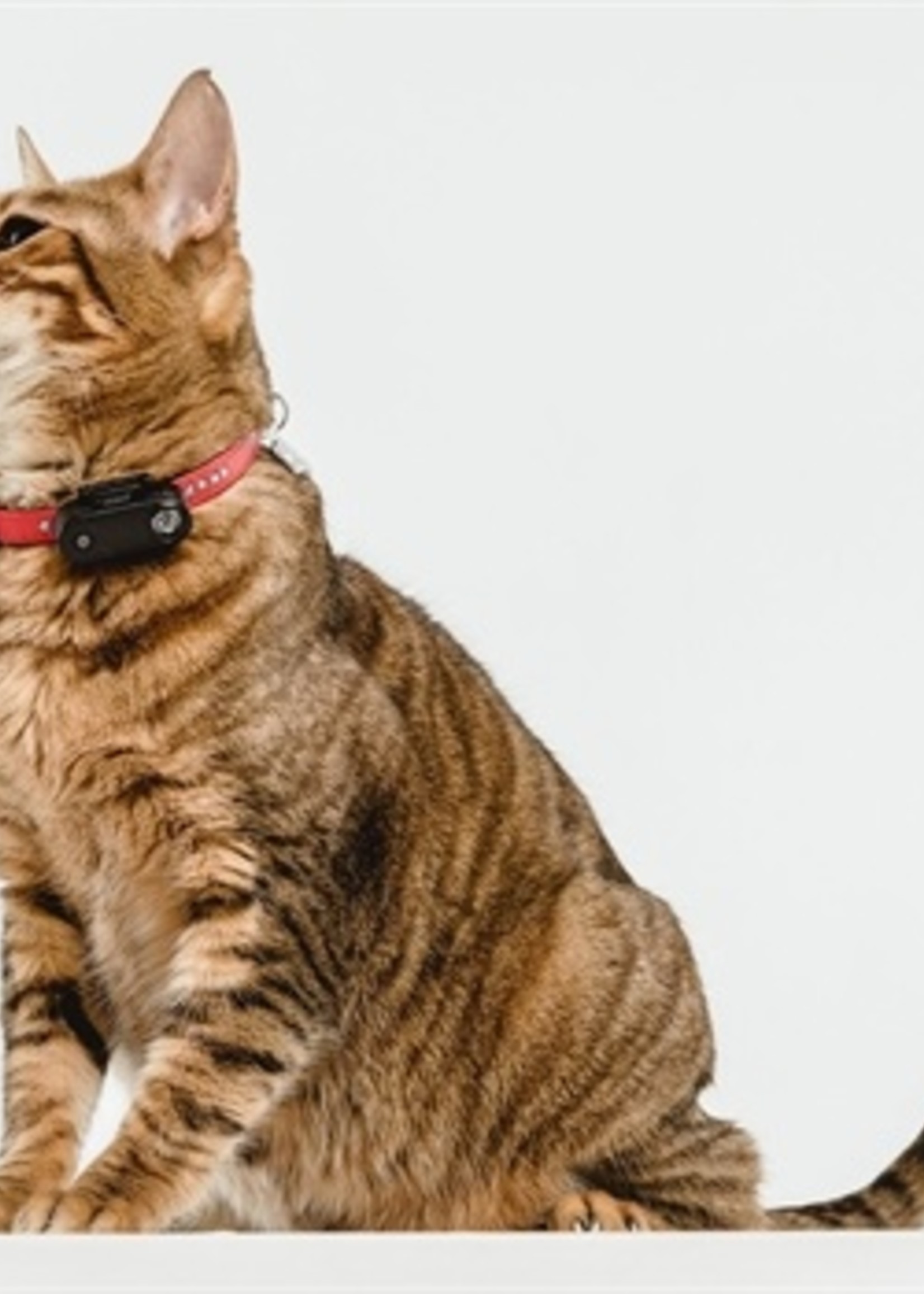 Tickless Tickless teek en vlo afweer voor kat zwart