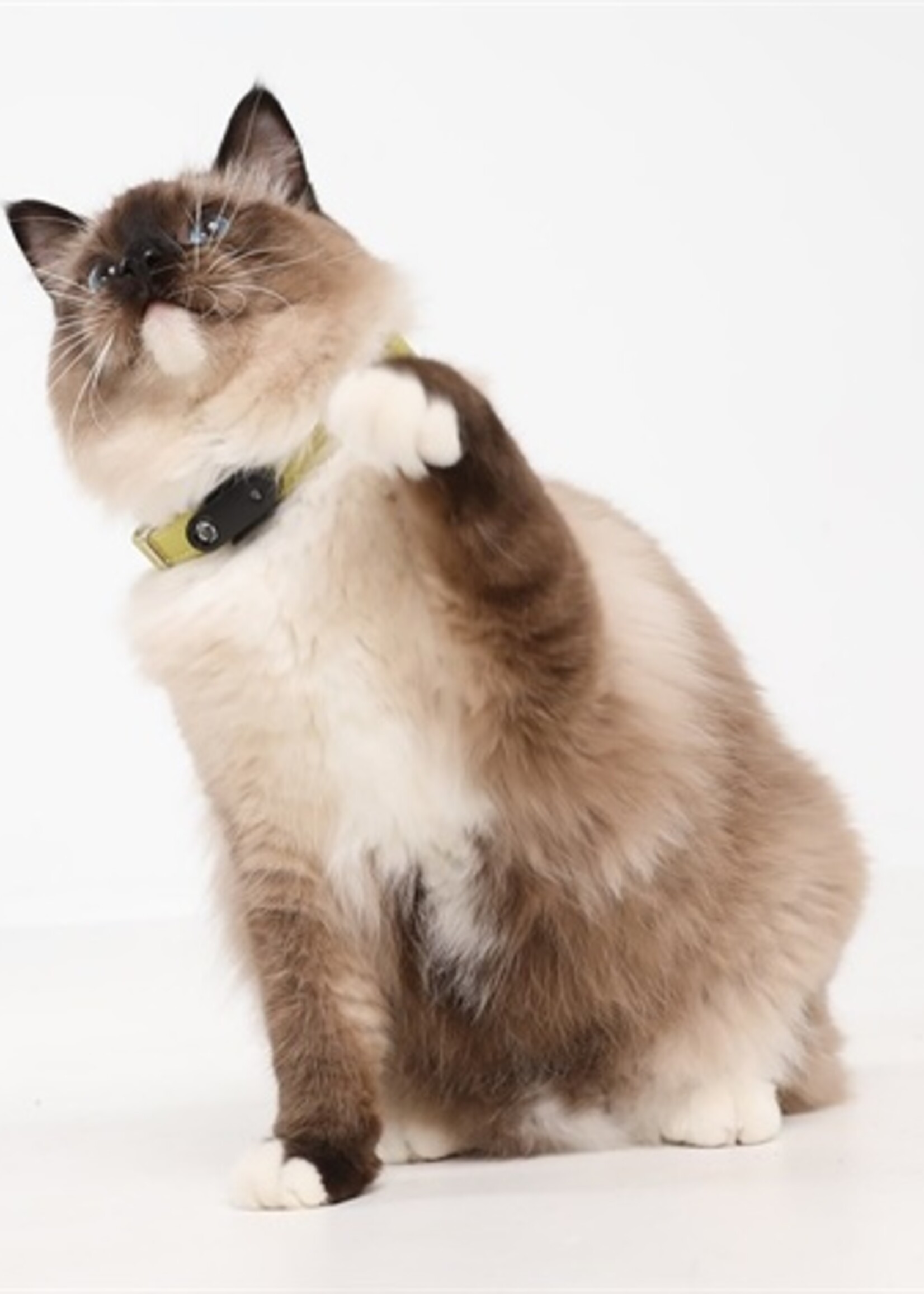 Tickless Tickless teek en vlo afweer voor kat zwart