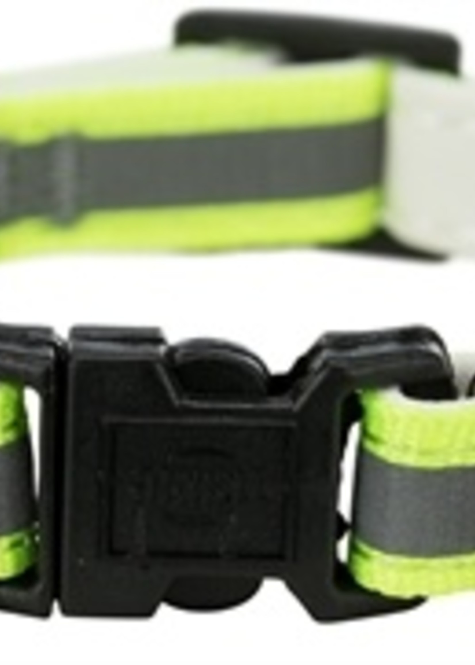 Trixie Trixie junior halsband kat kitten reflecterend assorti