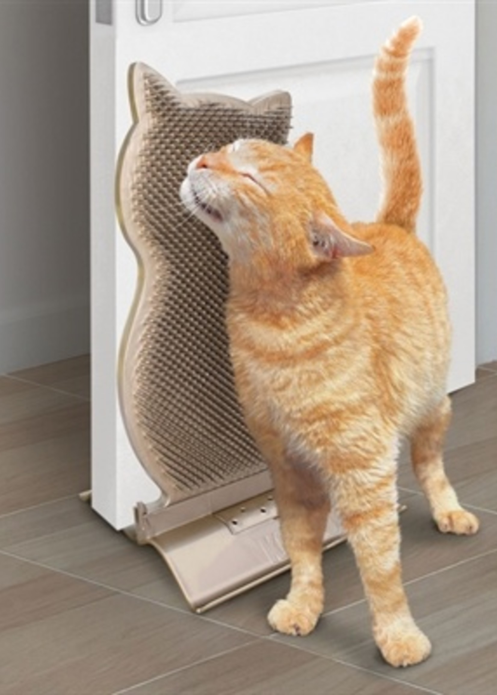 Kong Kong connects kitty comber