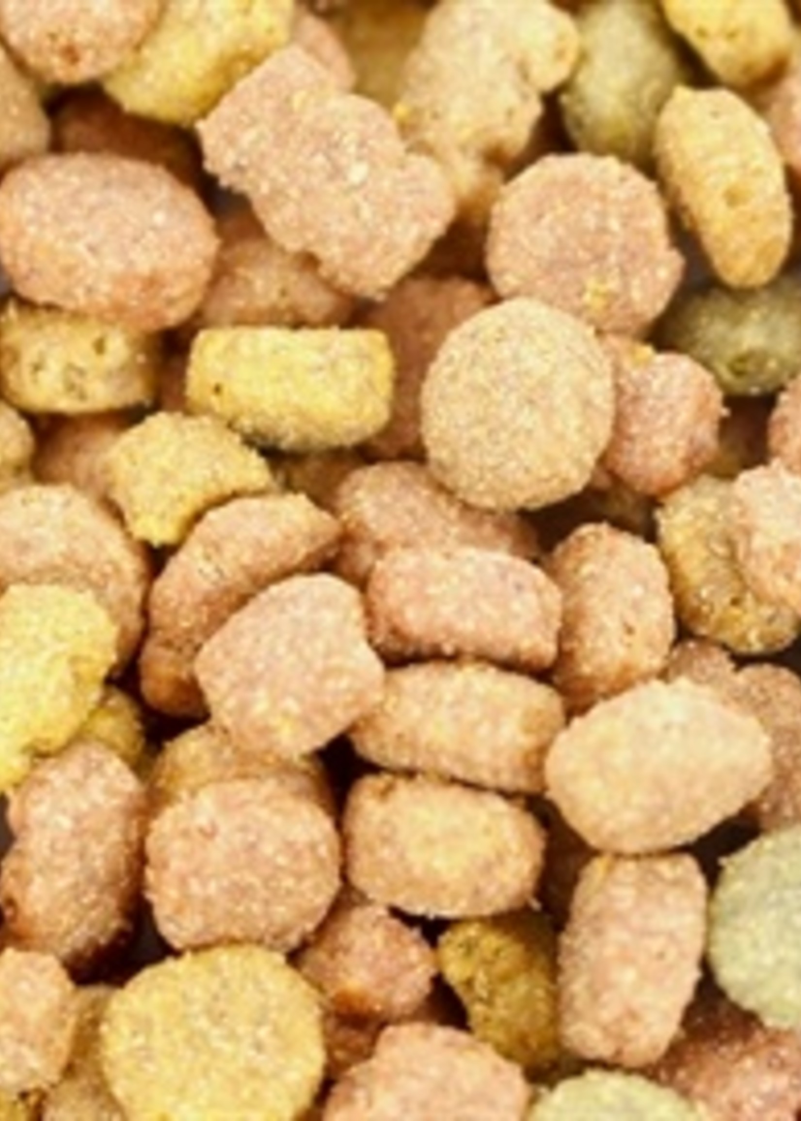 I am I am kattensnoep rund