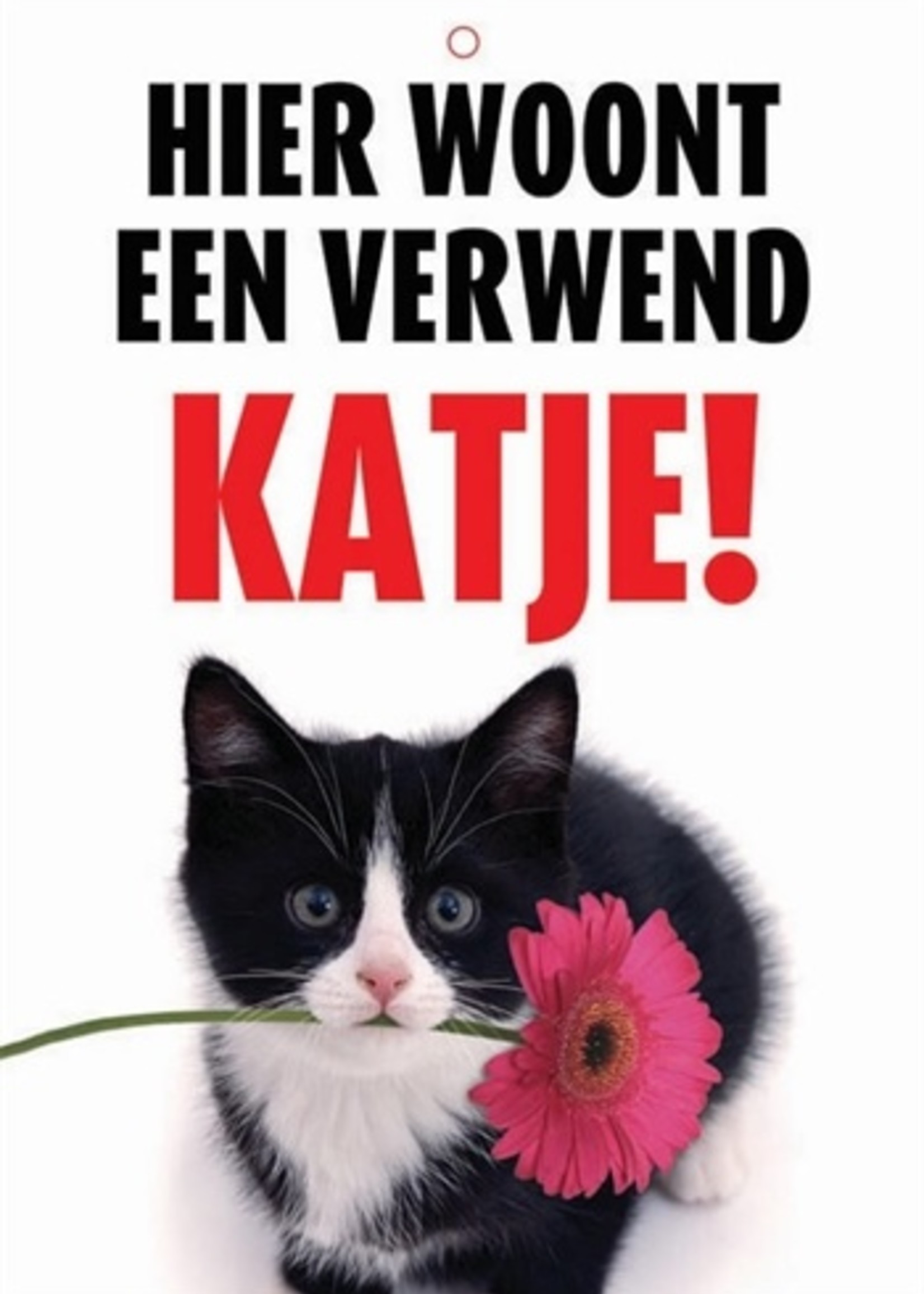 Merkloos Waakbord nederlands kunststof verwend katje