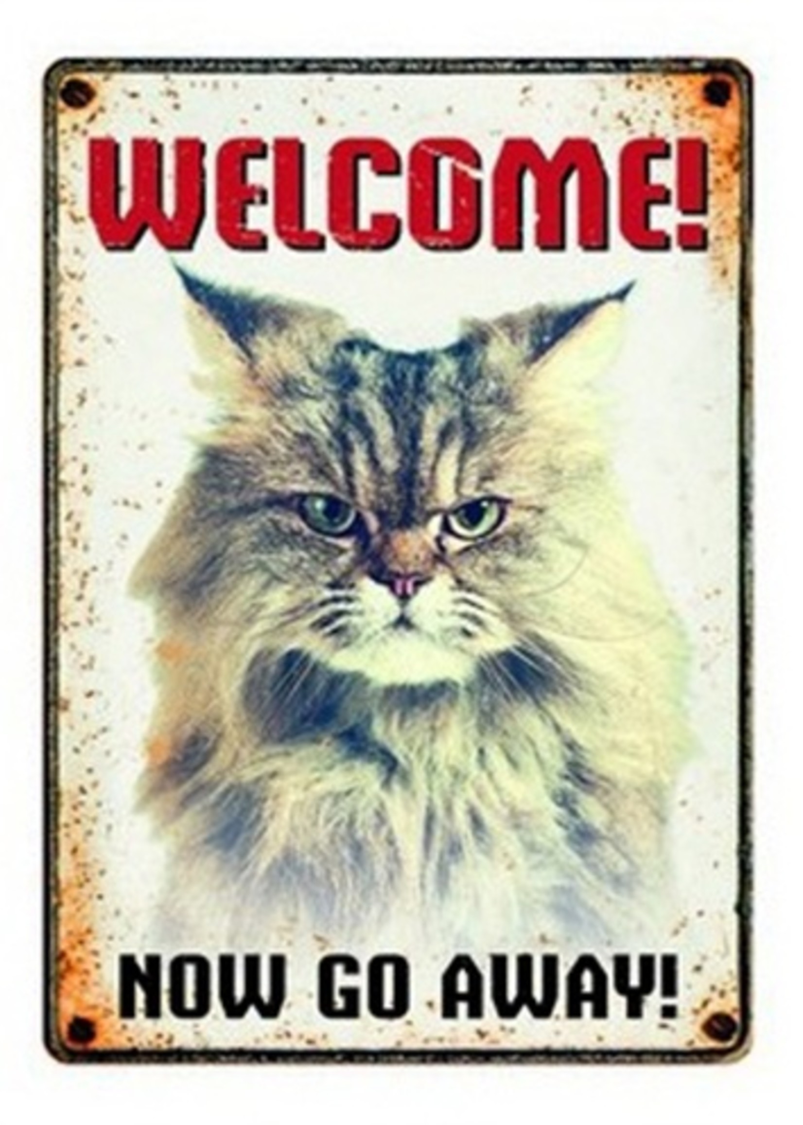 Plenty gifts Plenty gifts waakbord blik grumpy cat