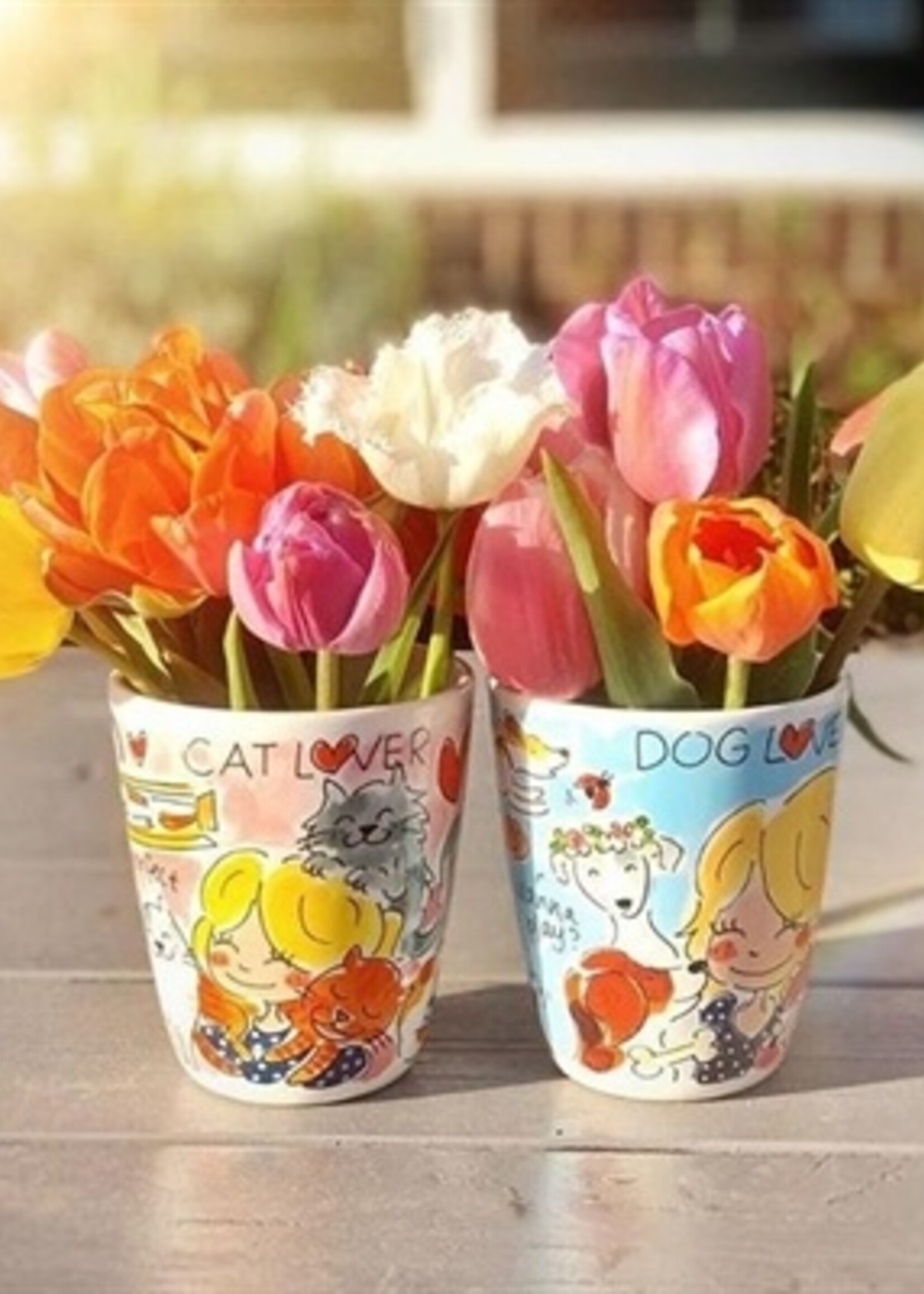 Blond amsterdam Blond amsterdam kopje cat lover