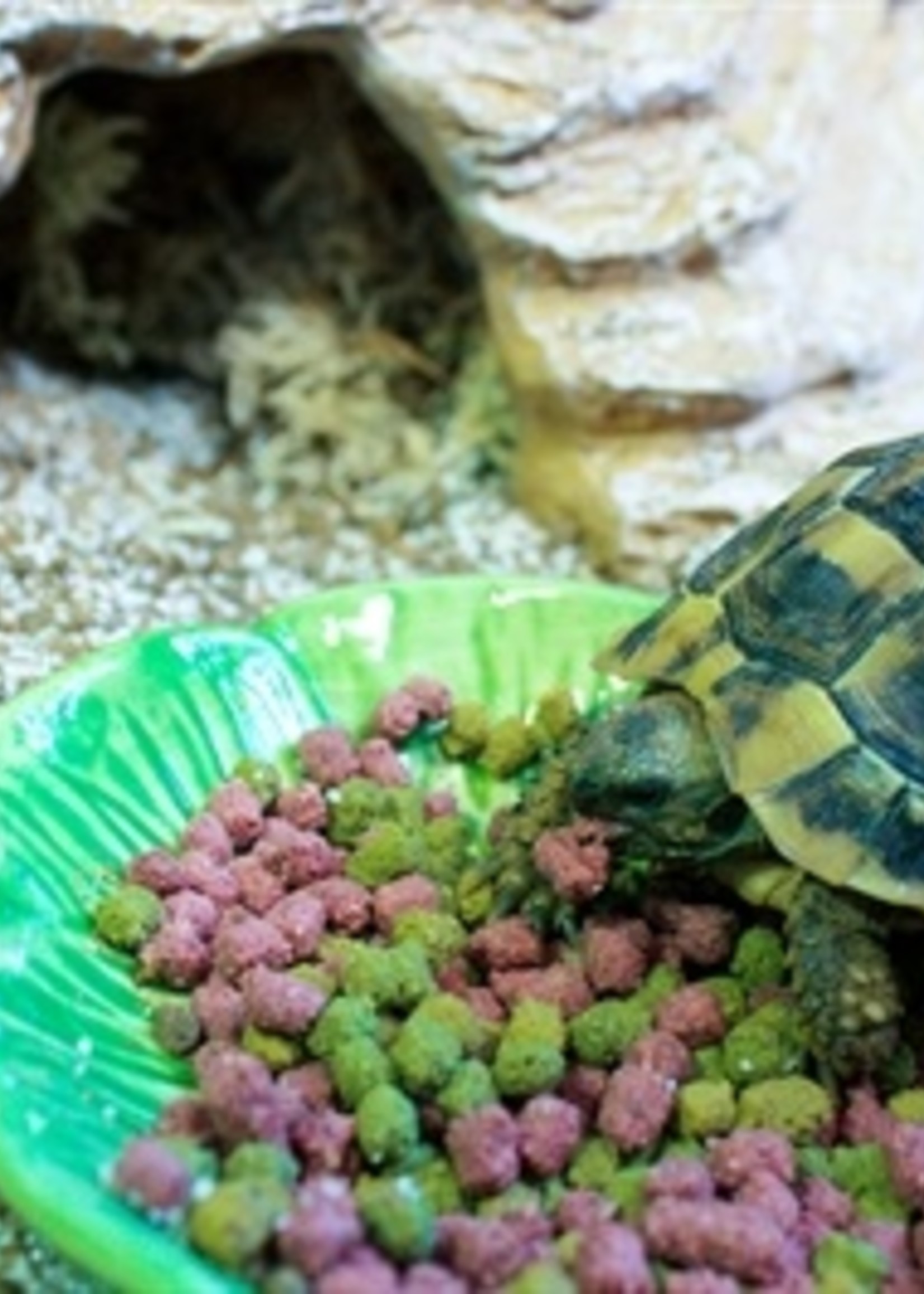 Happy pet Happy pet voerbak green leaf groen