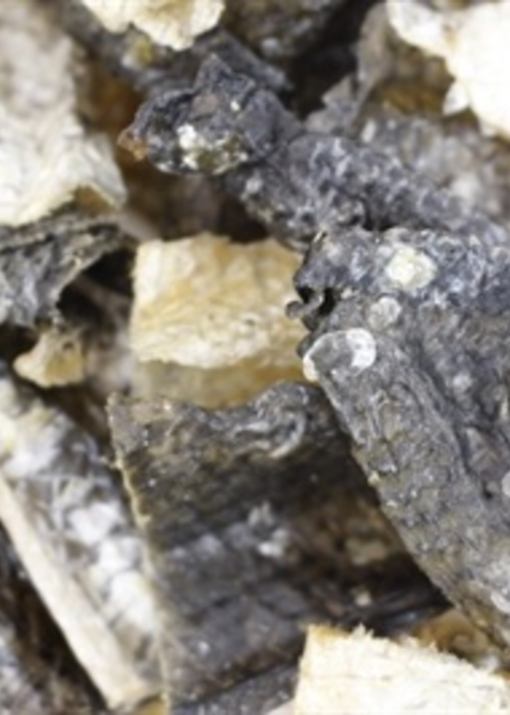 Sn'urk Snurk gedroogde zalmhuidbites