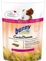 Bunny nature Bunny nature caviadroom young