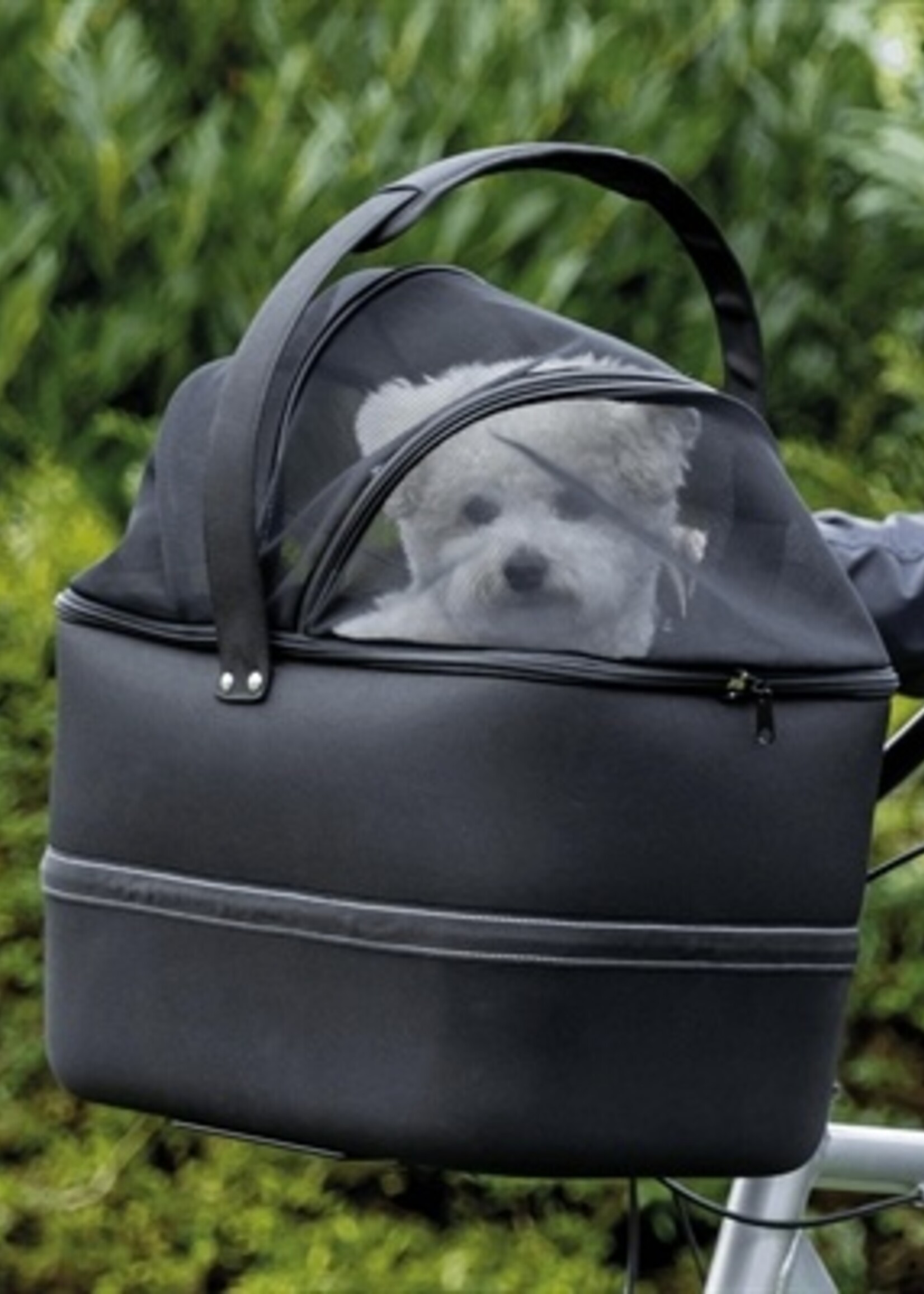 Esve Esve pet salad garden delight