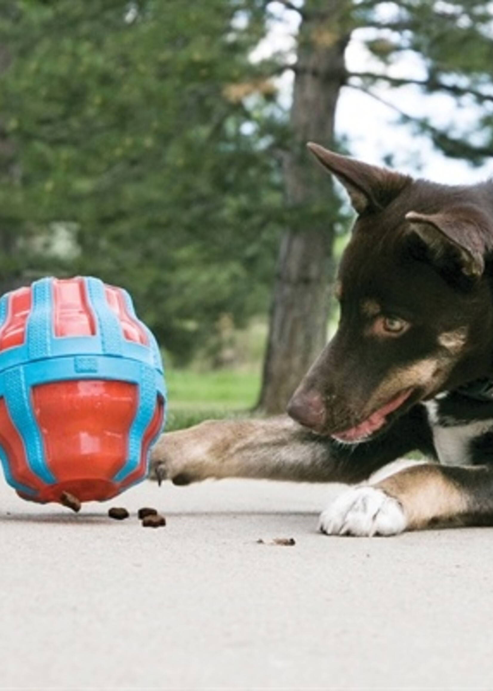 Kong Kong treat spinner voer / snack dispenser oranje / blauw