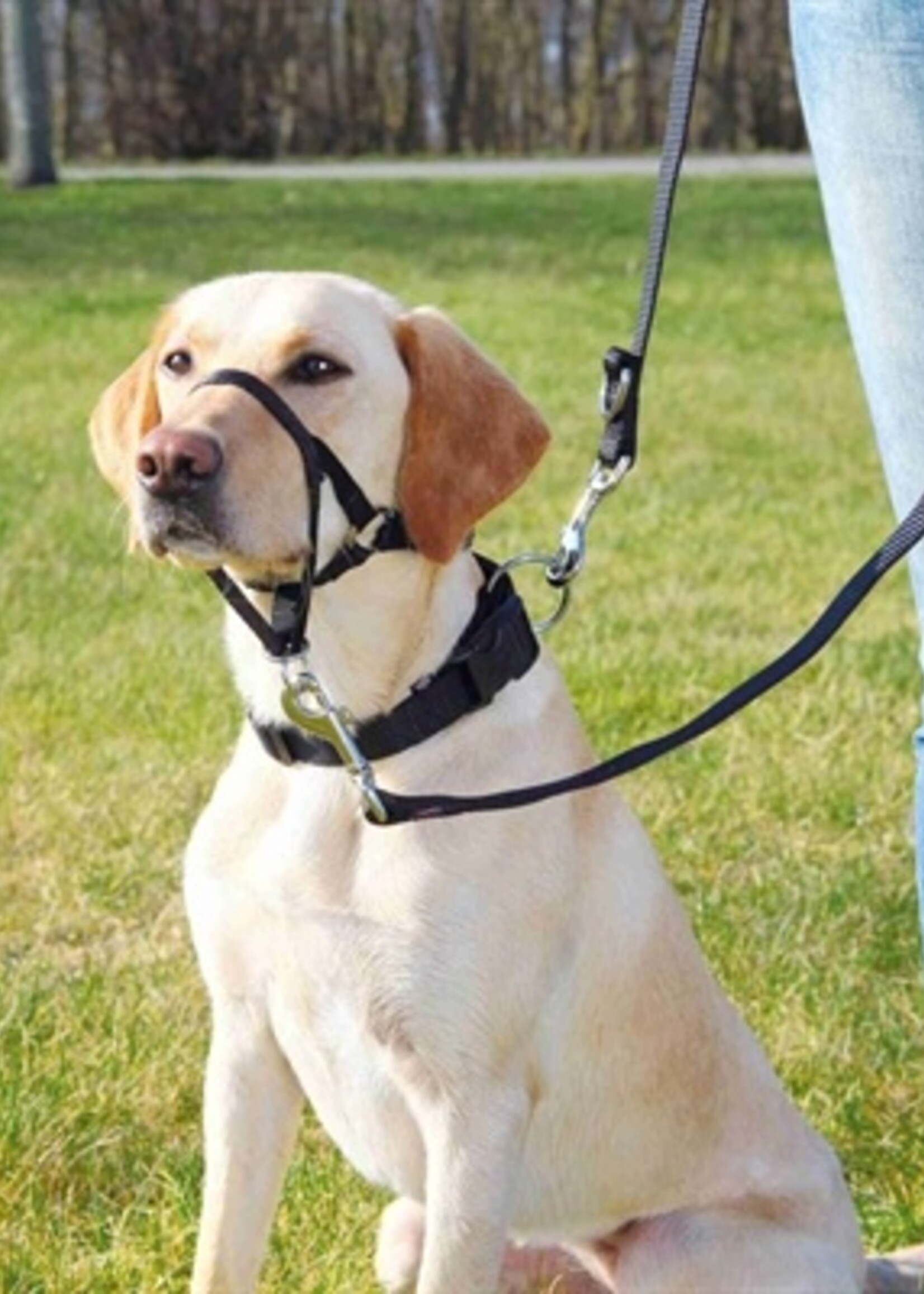 Trixie Trixie hondentuig top trainer anti-trek tuig zwart