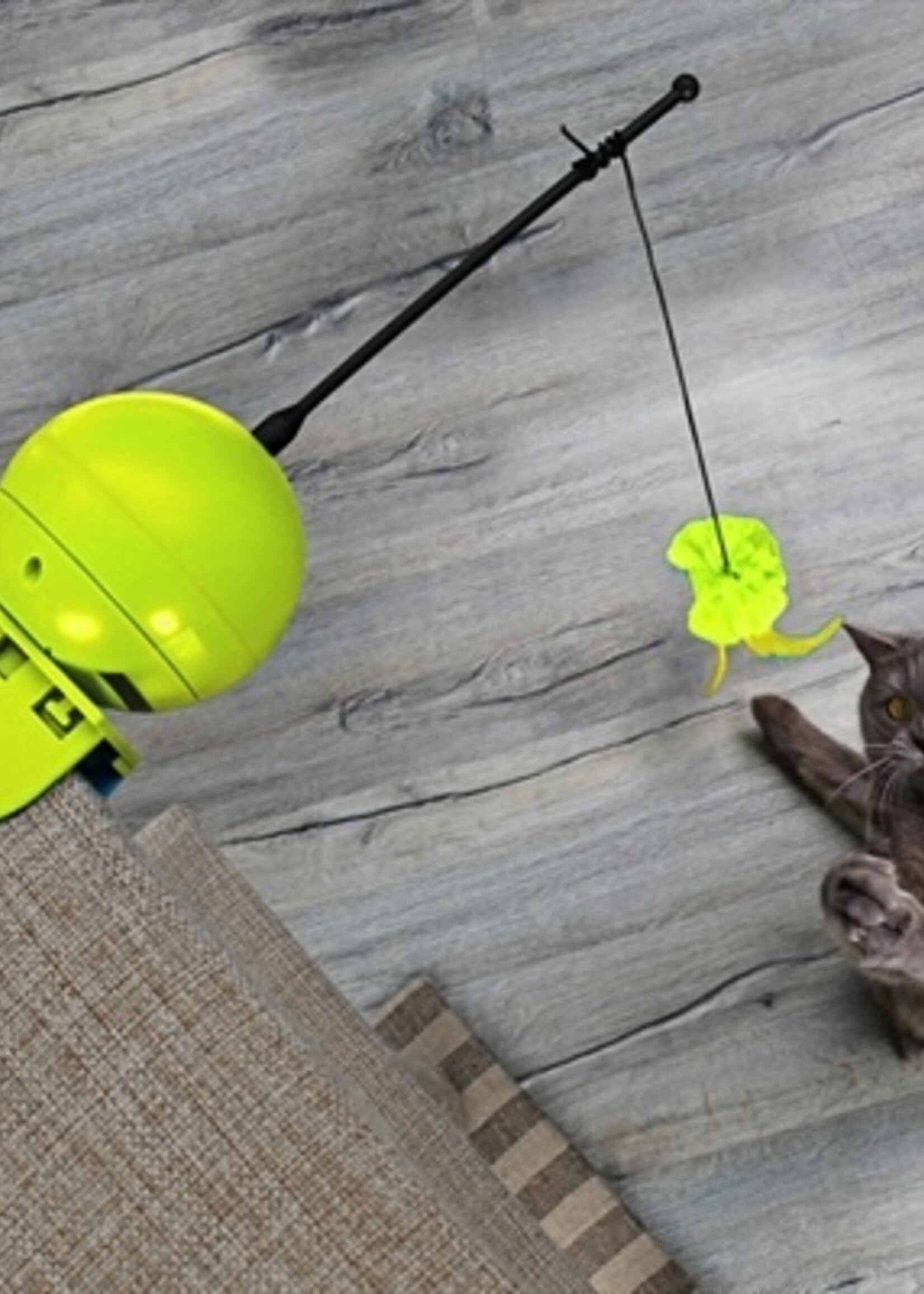 Coockoo Coocky foxy magic ball lime