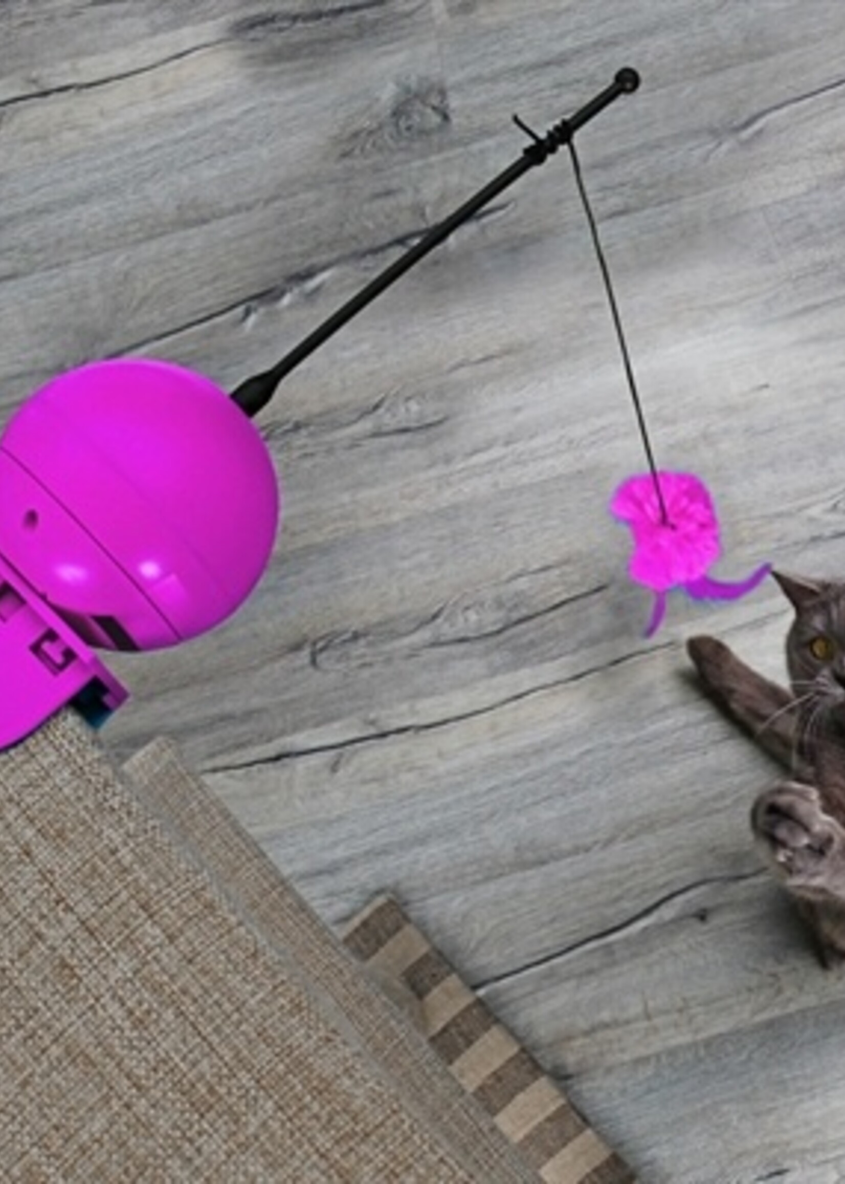 Coockoo Coocky foxy magic ball roze