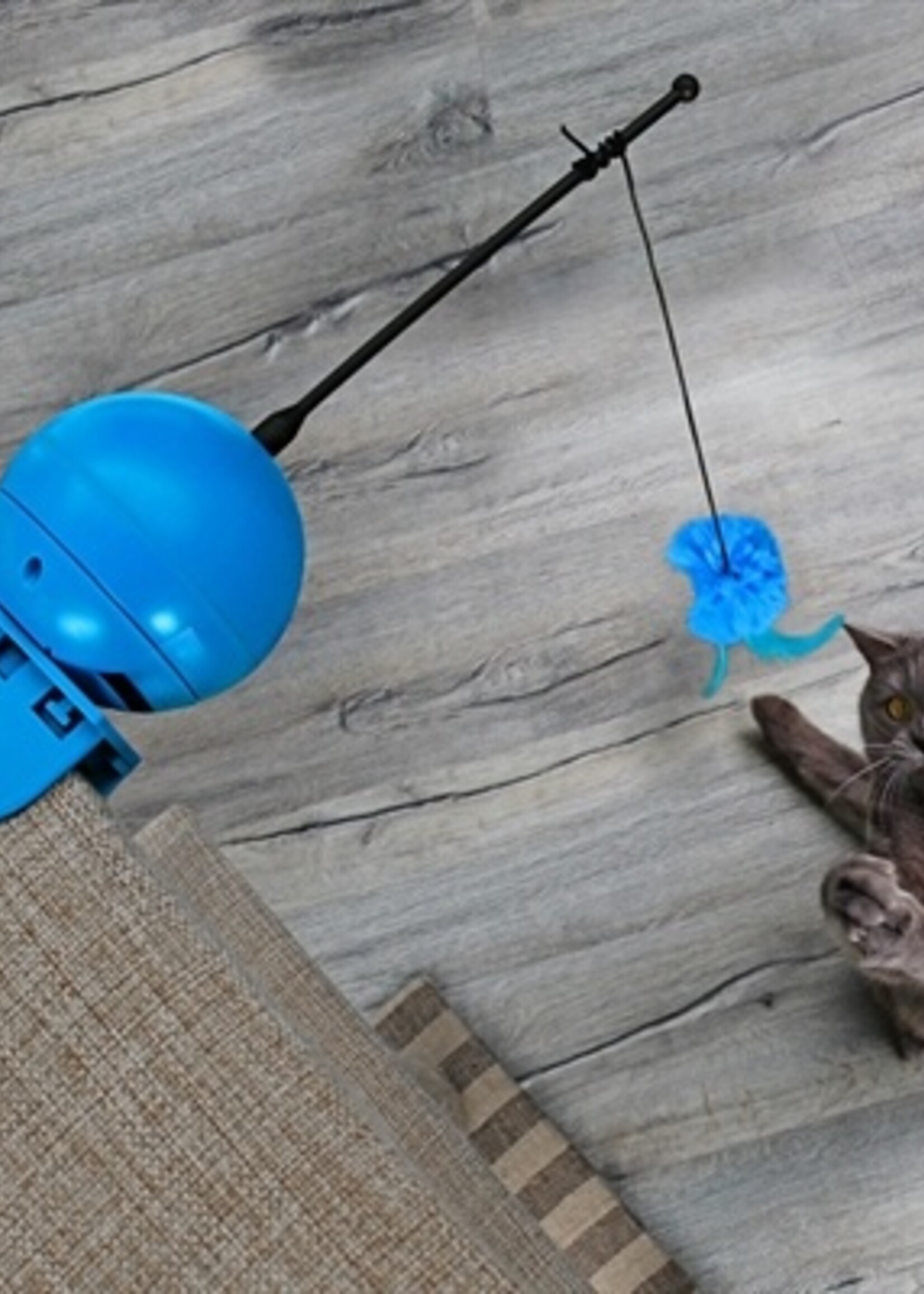 Coockoo Coocky foxy magic ball blauw