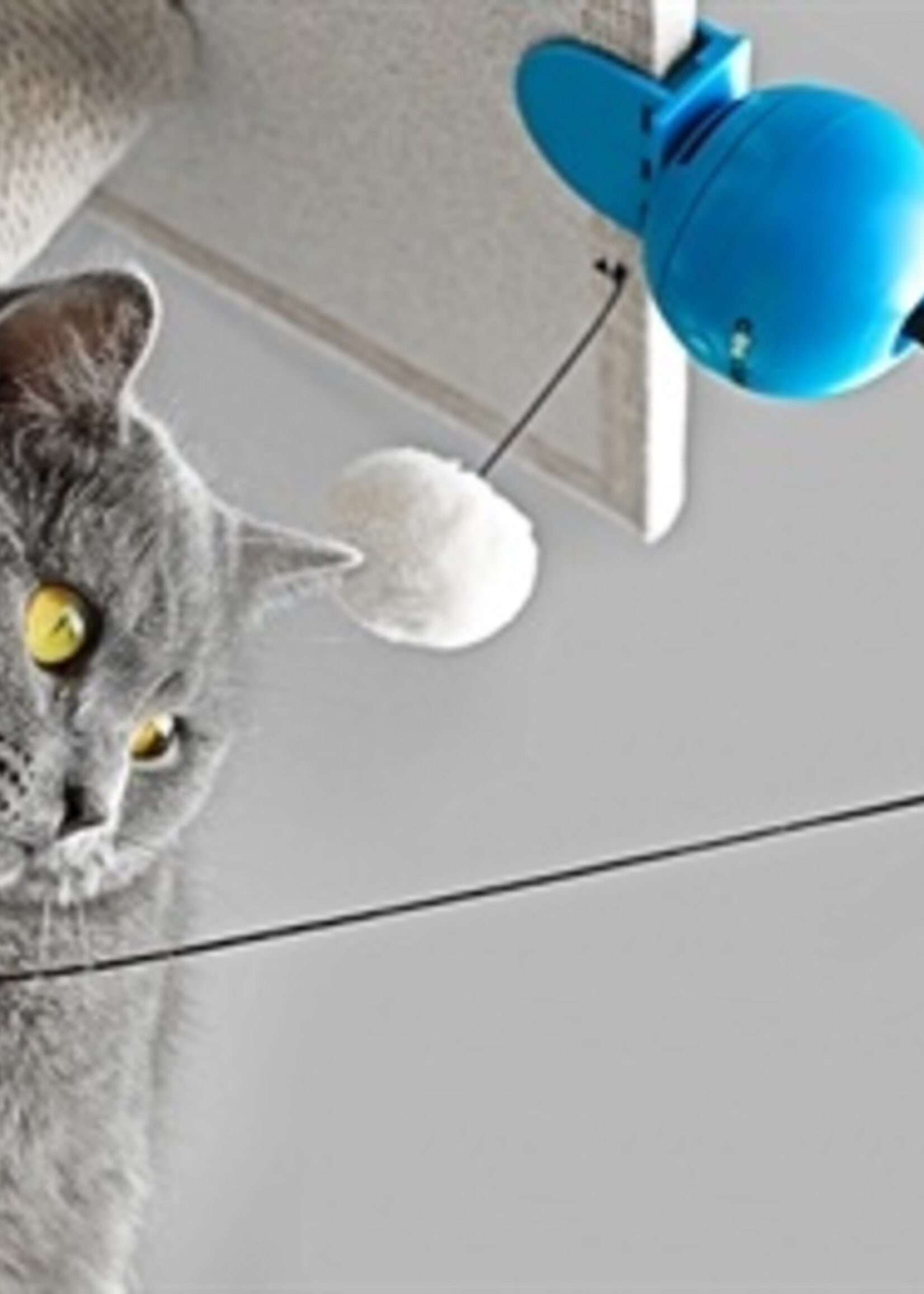 Coockoo Coocky foxy magic ball blauw