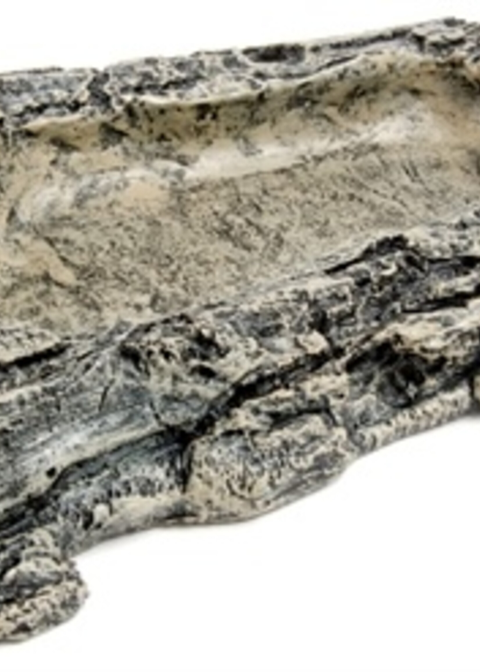 Komodo Komodo voerbak habitat rock