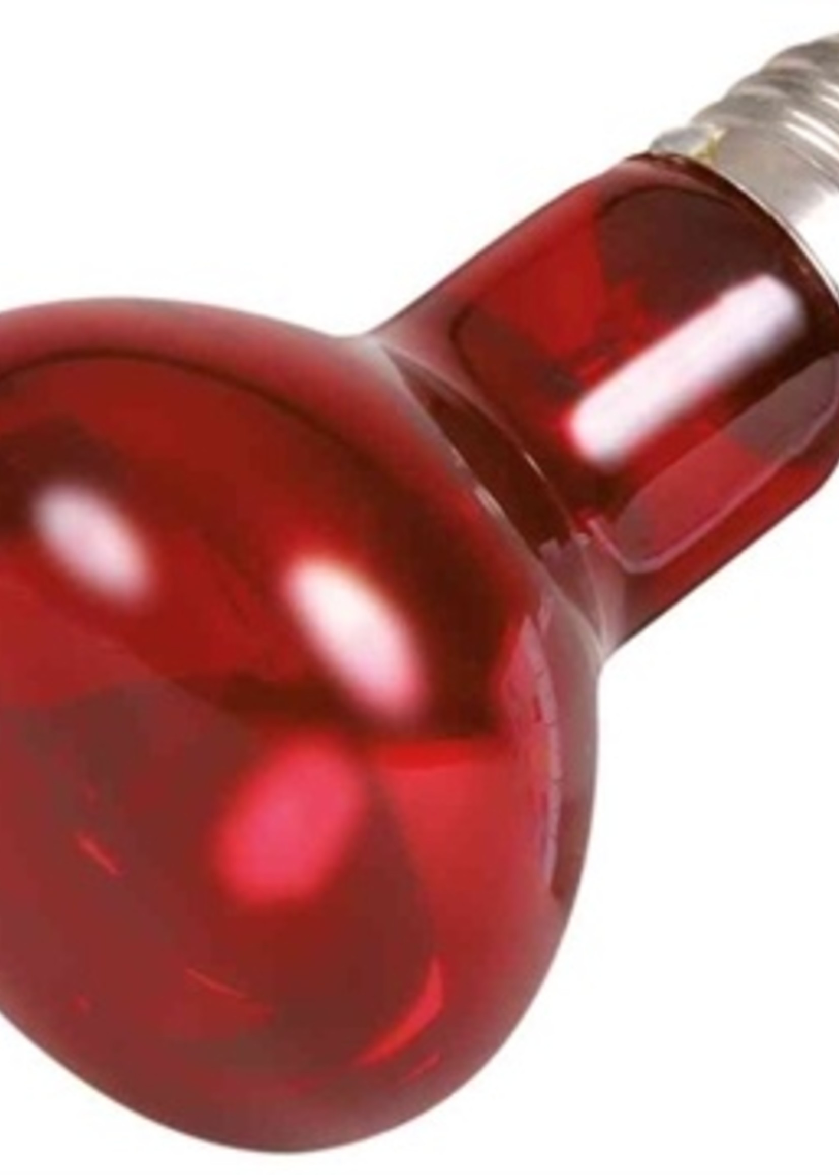 Trixie Trixie reptiland warmtelamp infrarood