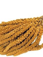 Versele-laga Prestige  trosgierst