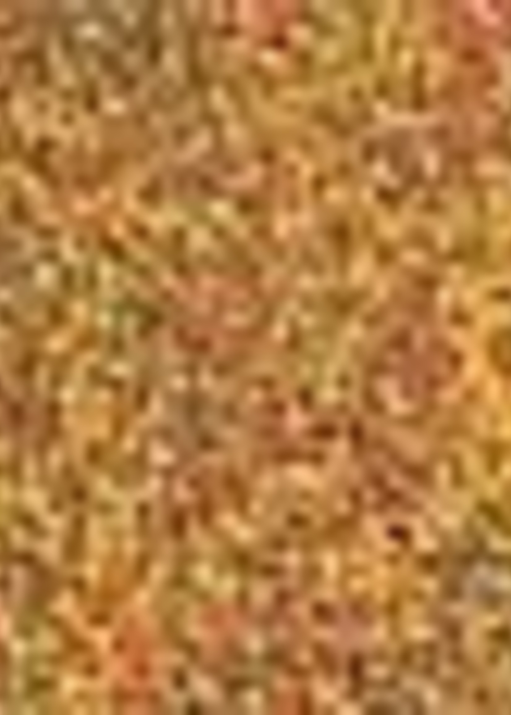 Excellent Excellent vijverkorrels