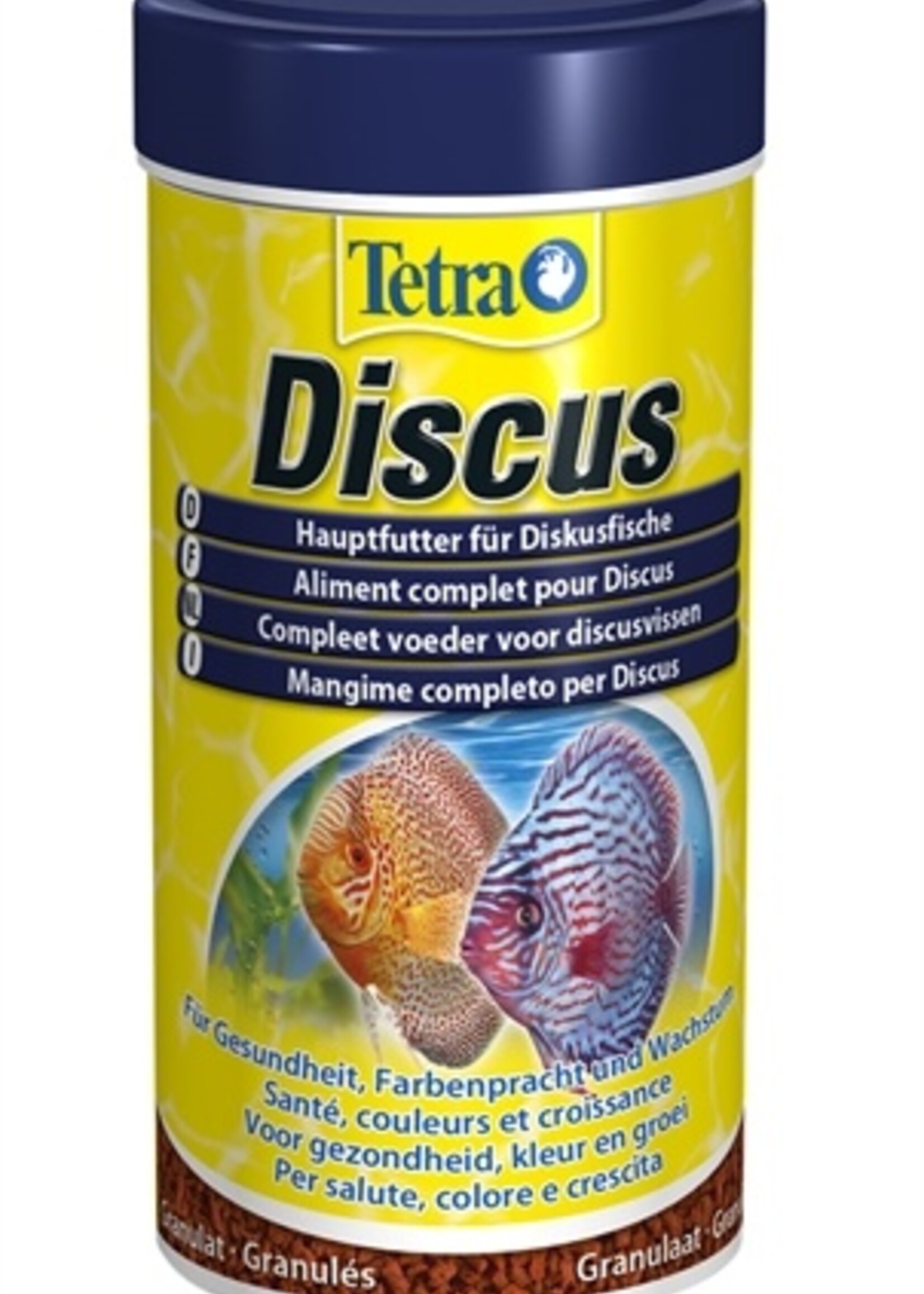 Tetra Tetra prima discus