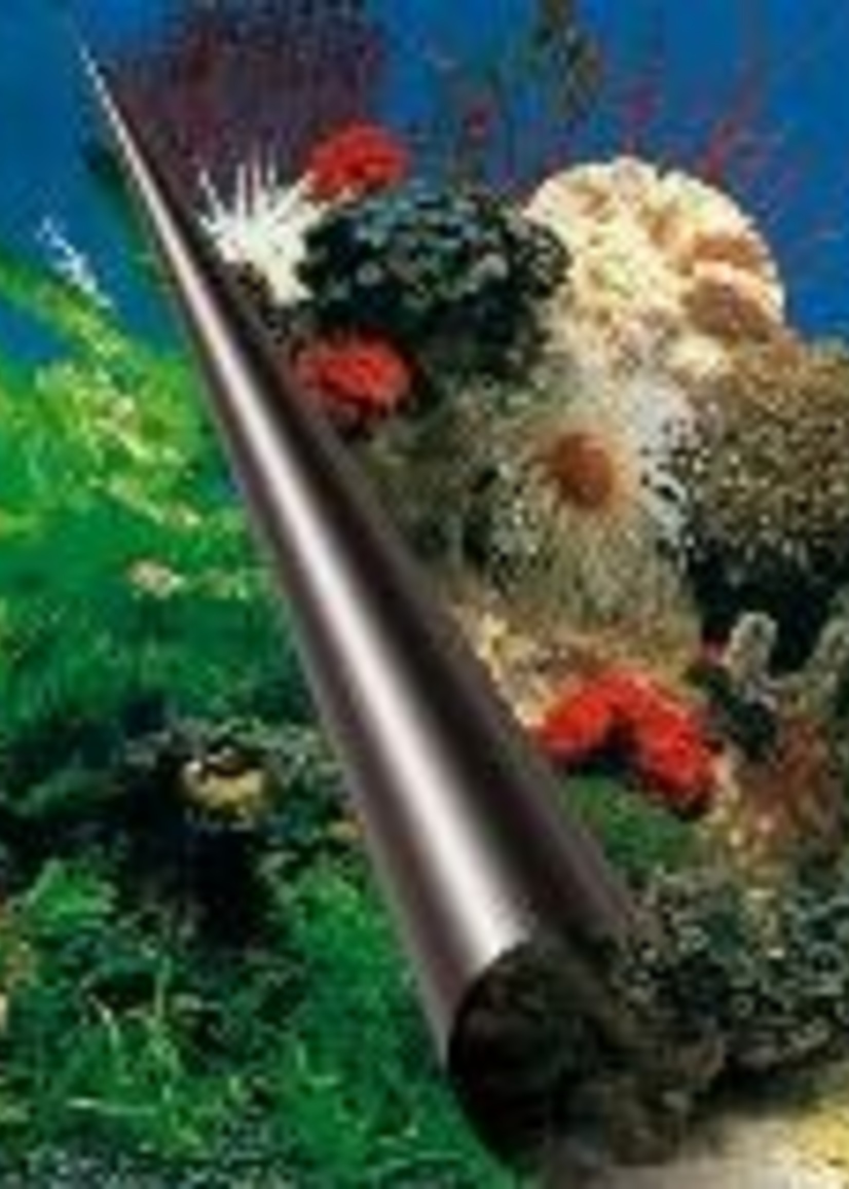 Ebi Ebi foto achterwand stone+coral