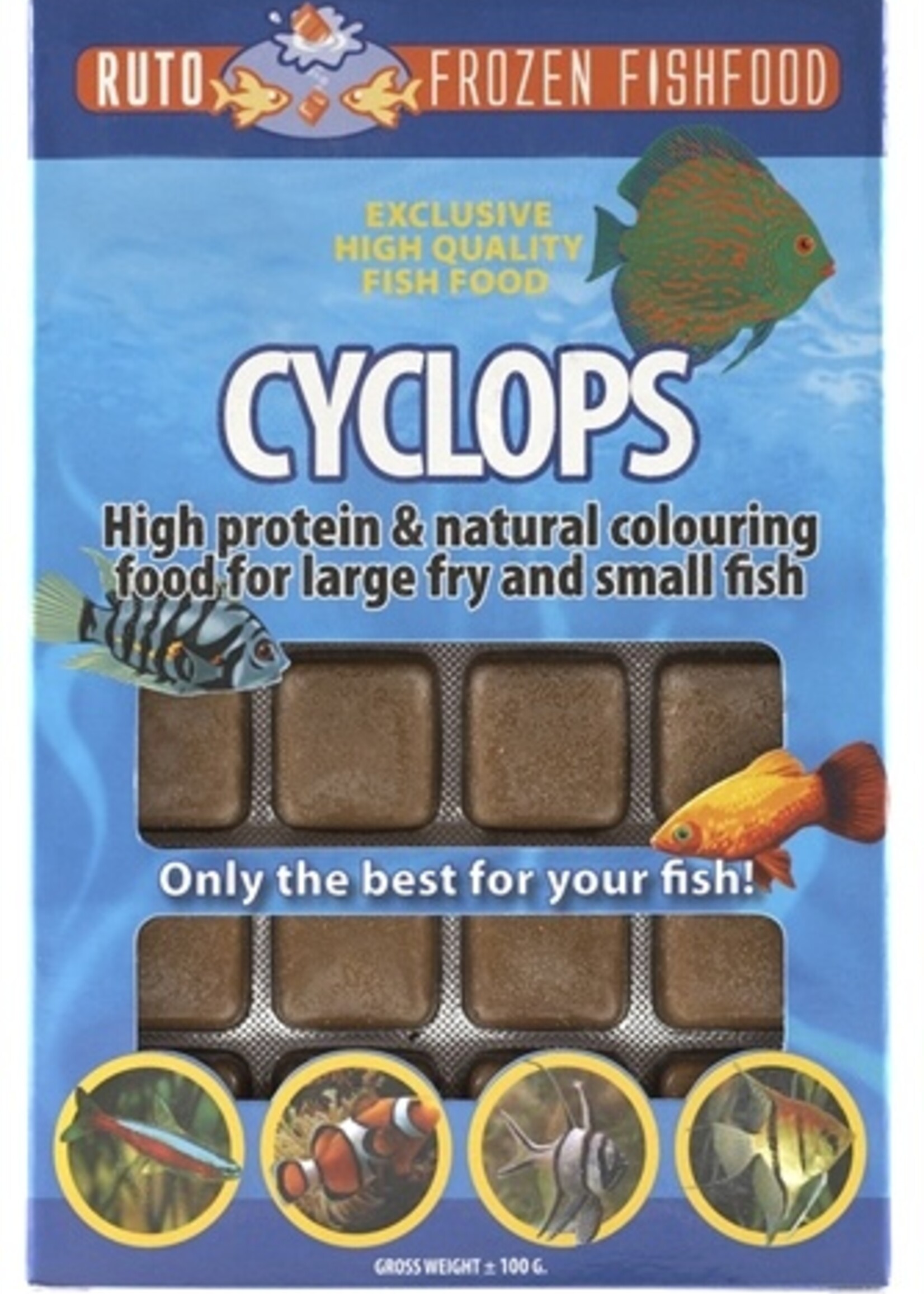 Ruto Ruto red label cyclops