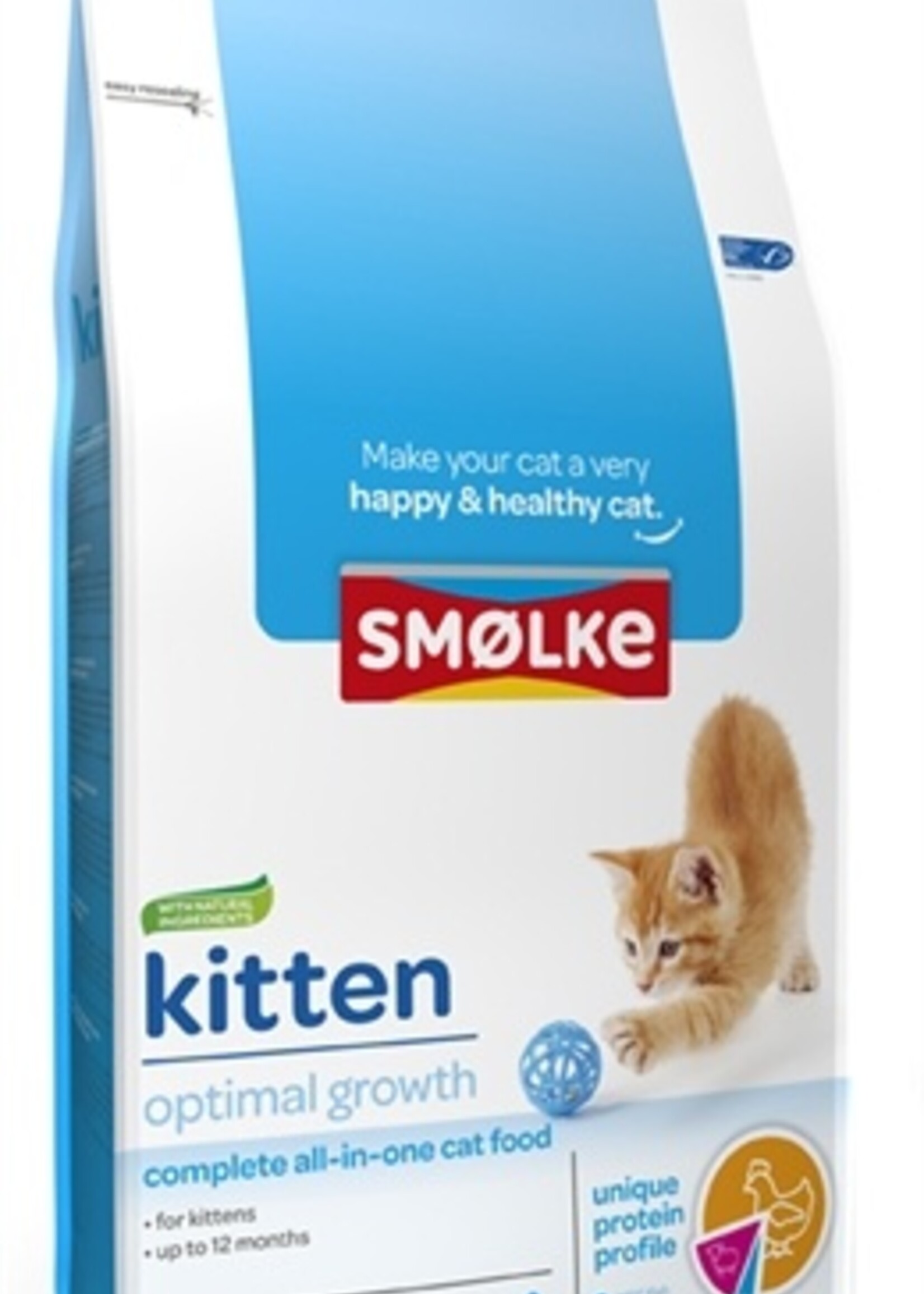 Smolke Smolke kitten