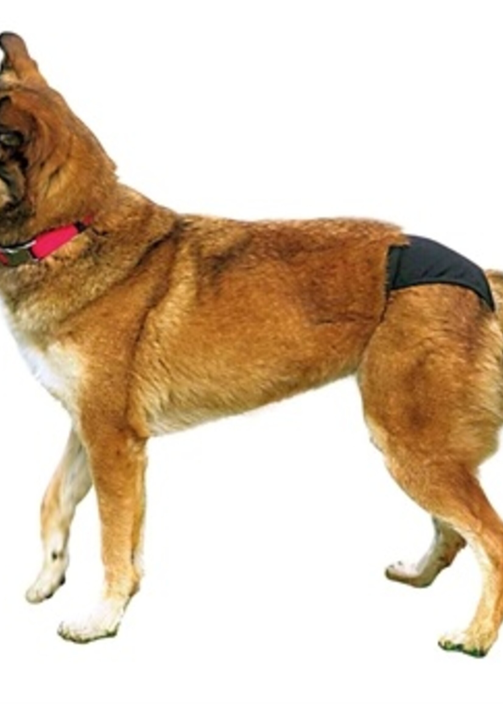 Trixie Trixie loopsheidbroekje zwart