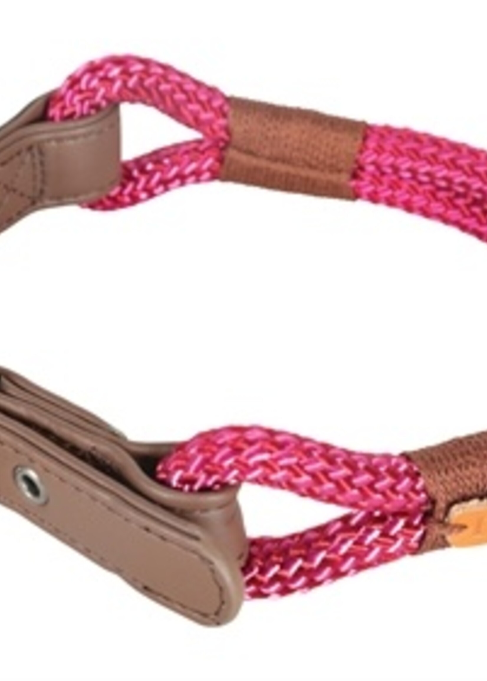 Zolux Zolux halsband hond imao hydepark roze