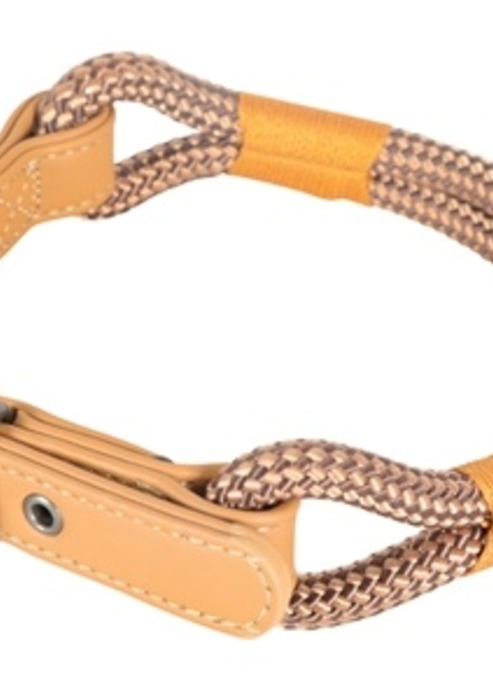 Zolux Zolux halsband hond imao hydepark bruin