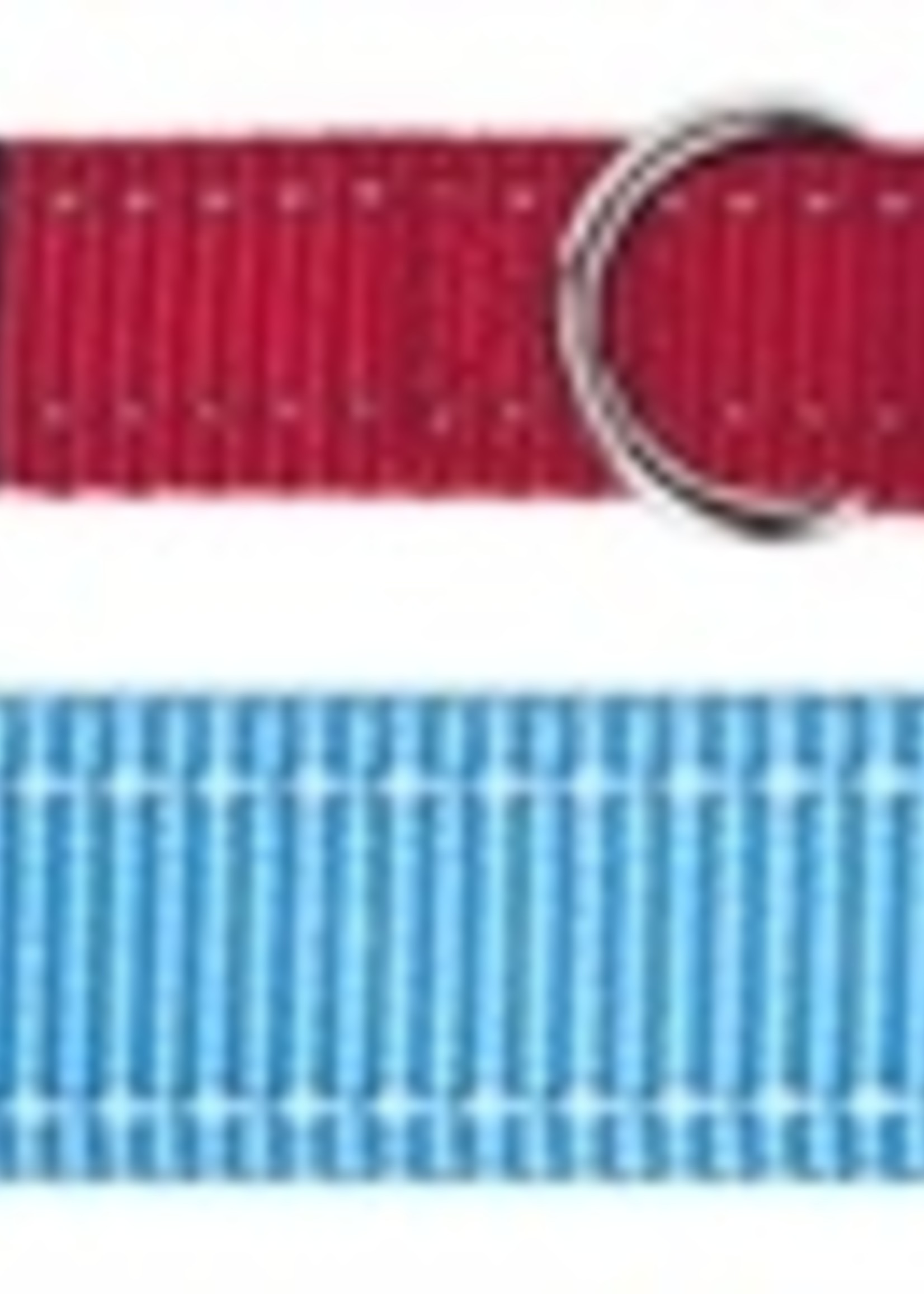 Rogz for dogs Rogz for dogs fanbelt multipurpose lijn turquoise