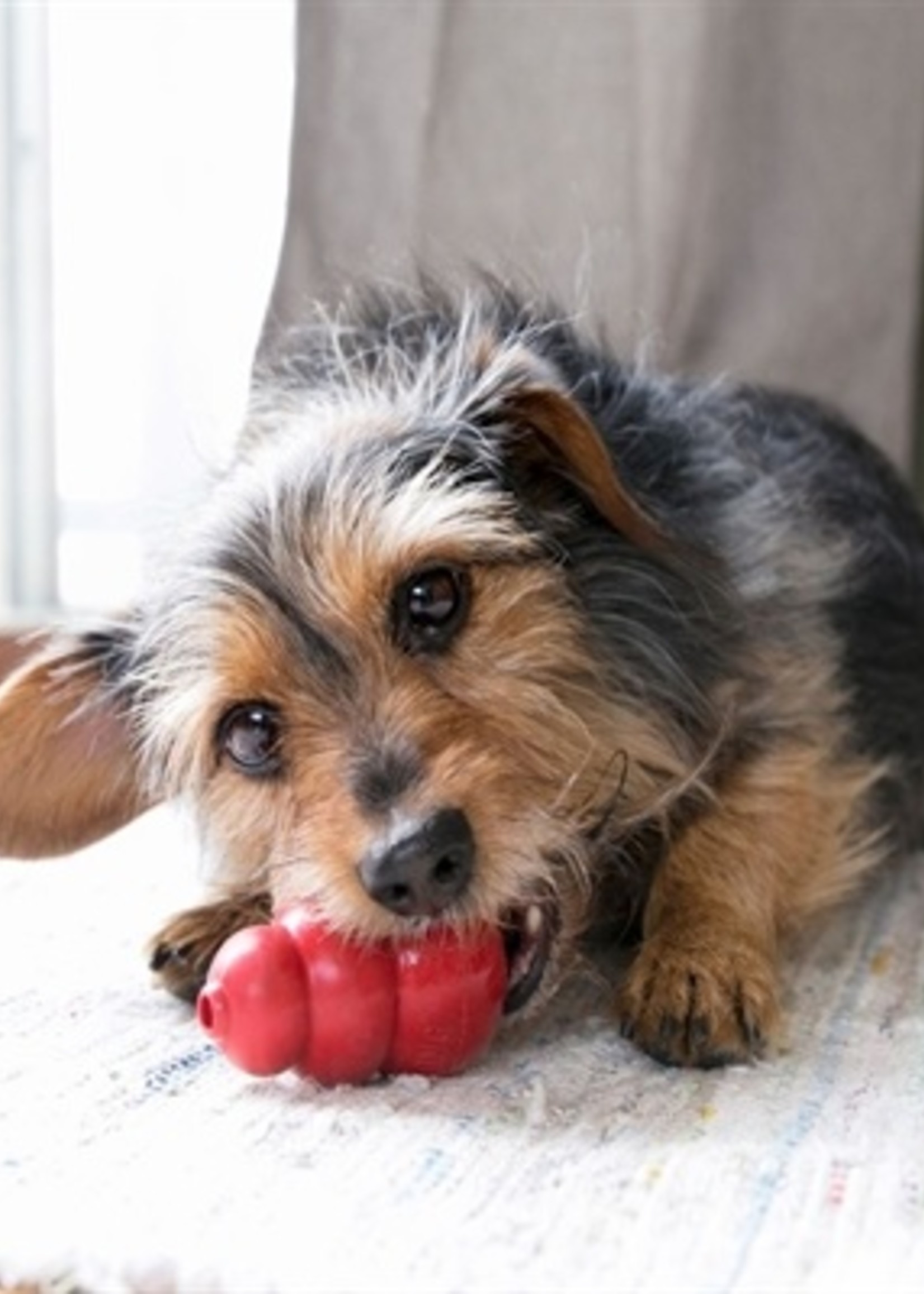 Kong Kong classic rood