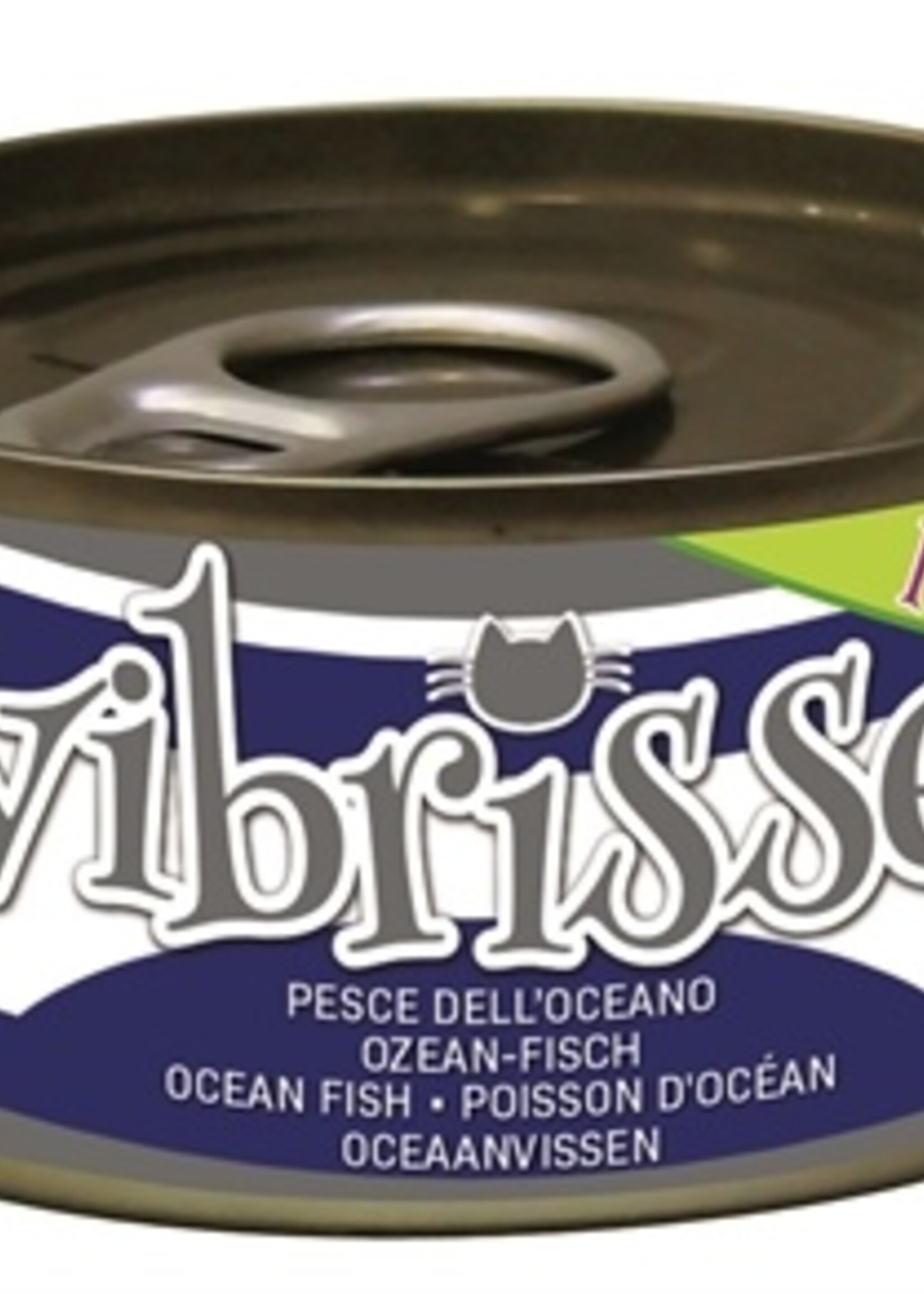 Vibrisse 24x vibrisse kittens cat oceaanvis