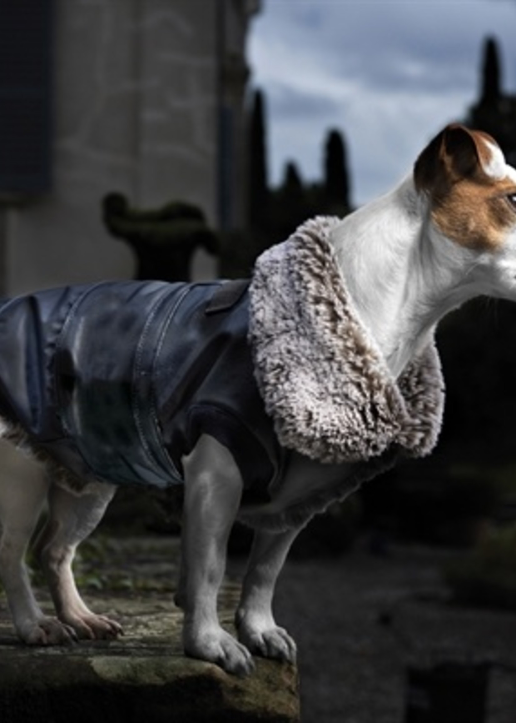 Croci Croci hondenjas rochester donkerblauw met bontkraag beige