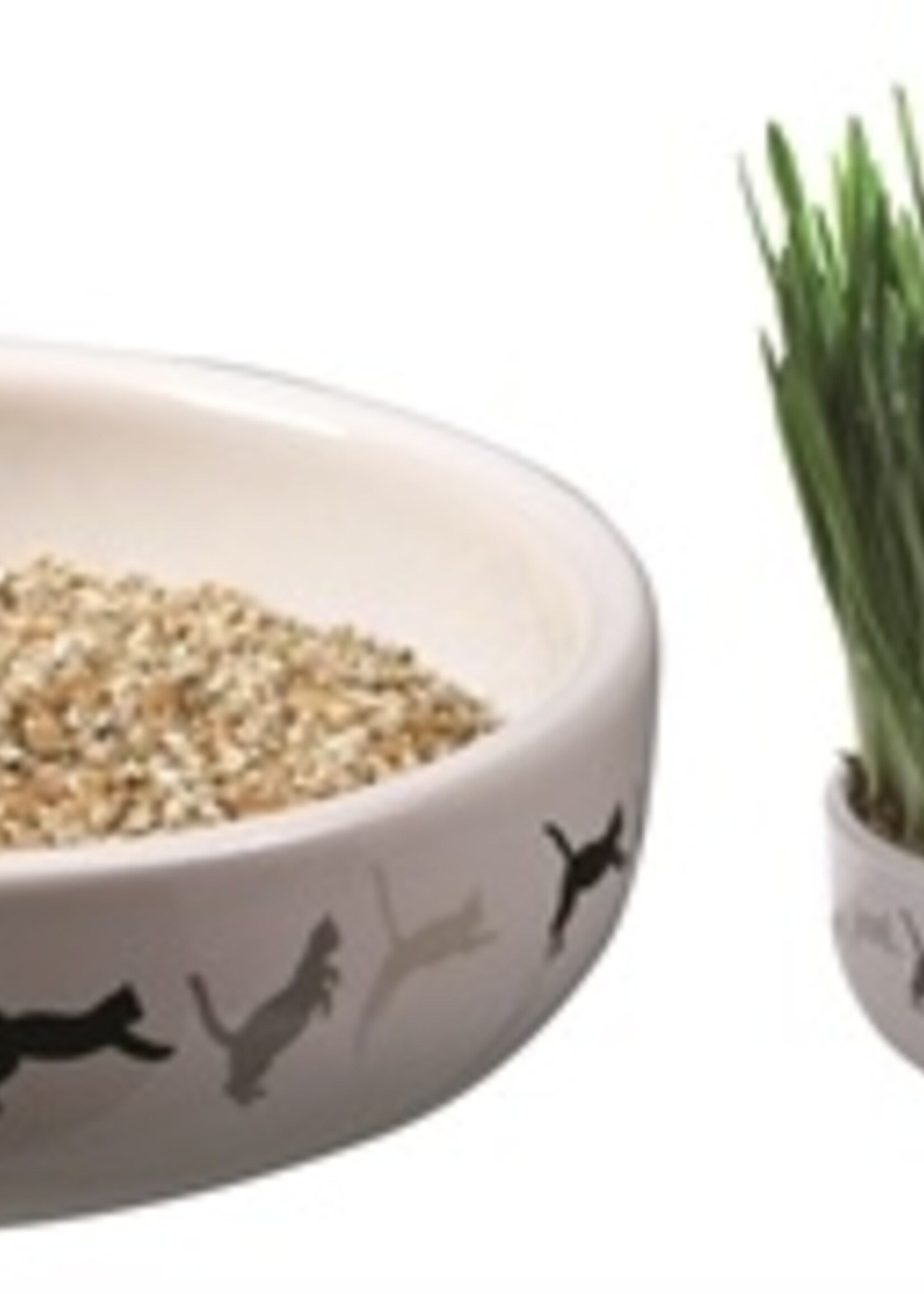 Trixie Trixie kattengraszaad 50gr in keramiek