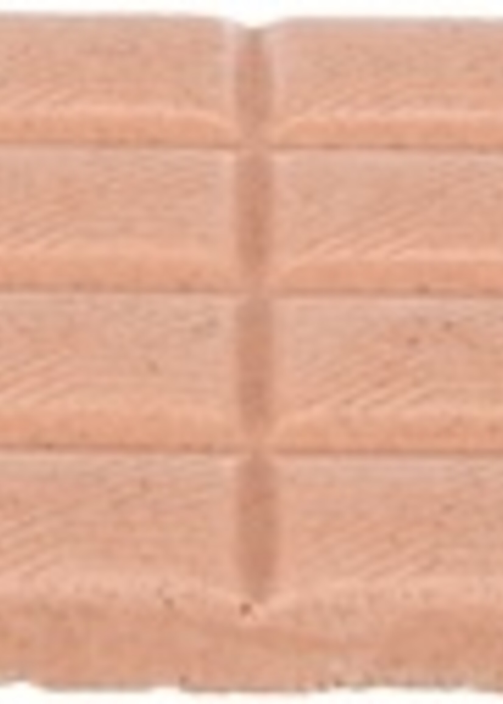 Trixie Trixie hondenchocolade met zalm