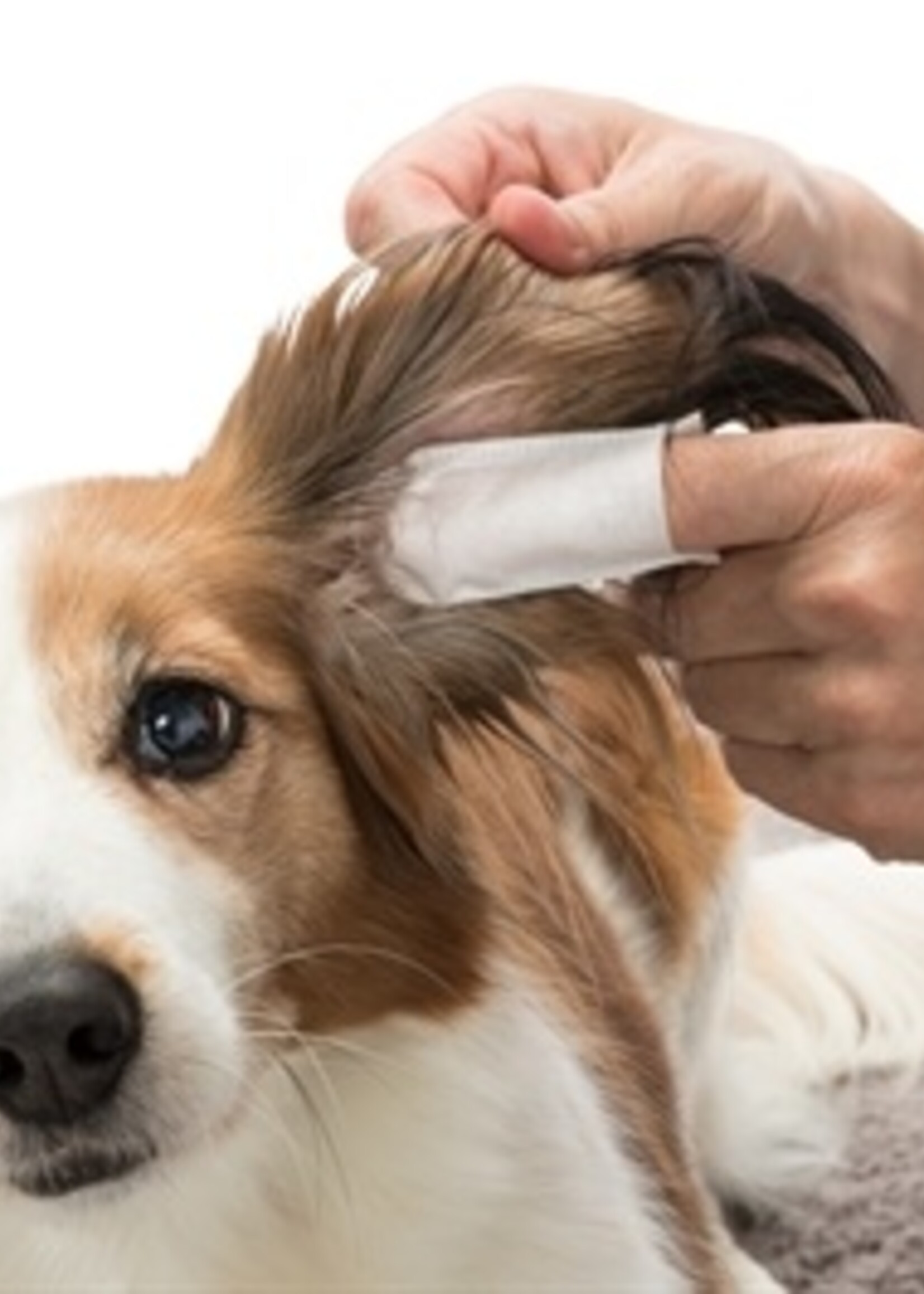 Trixie Trixie ear care vingerpads