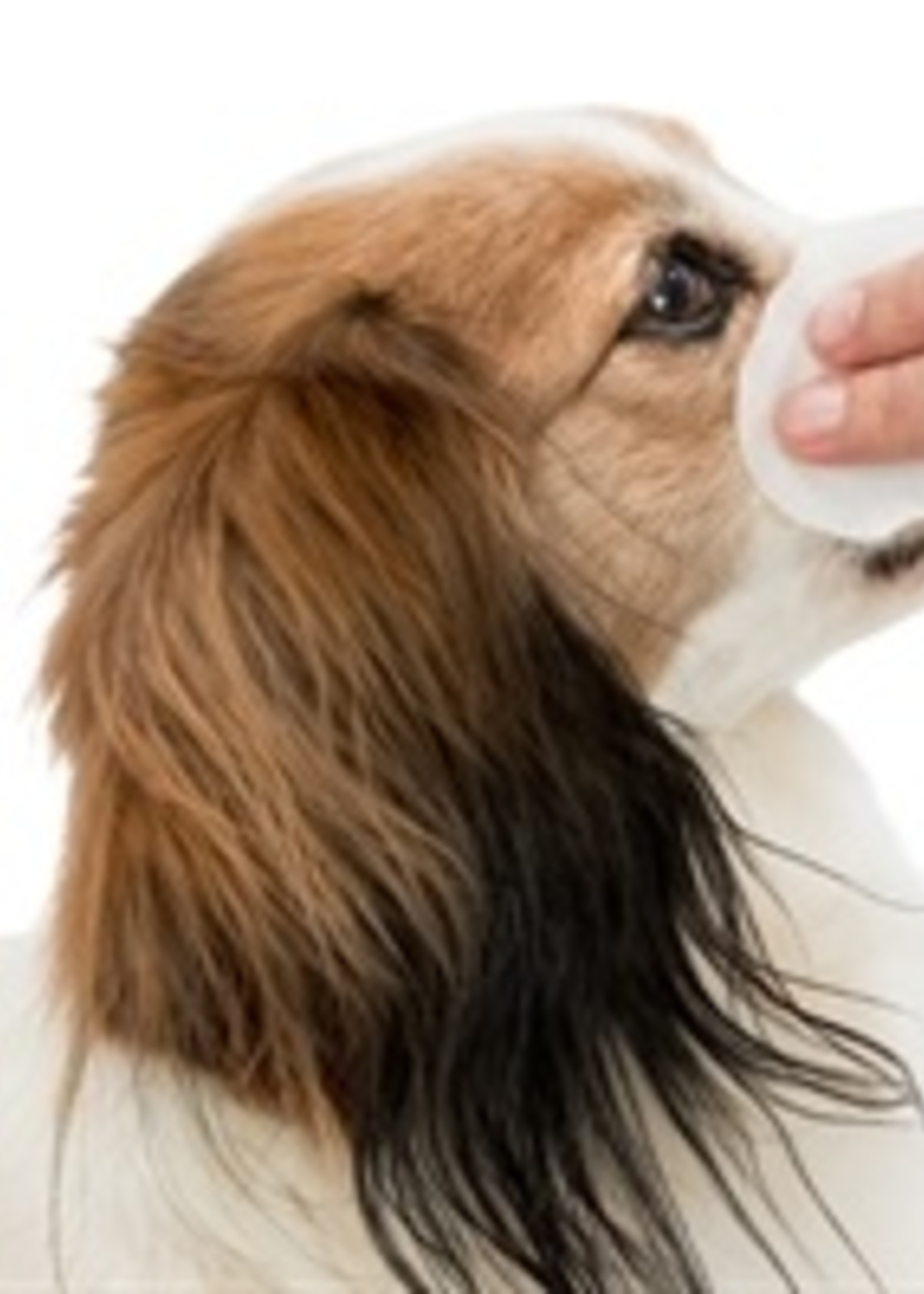 Trixie Trixie eye care reinigingspads voor ogen