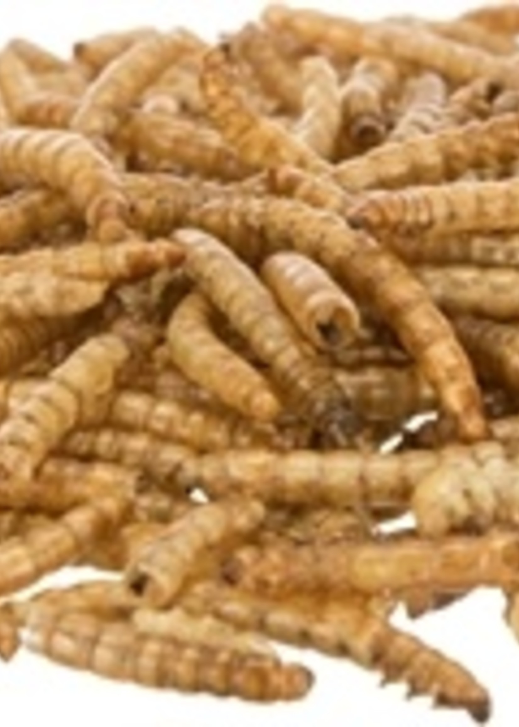 Trixie Trixie meelwormen gedroogd