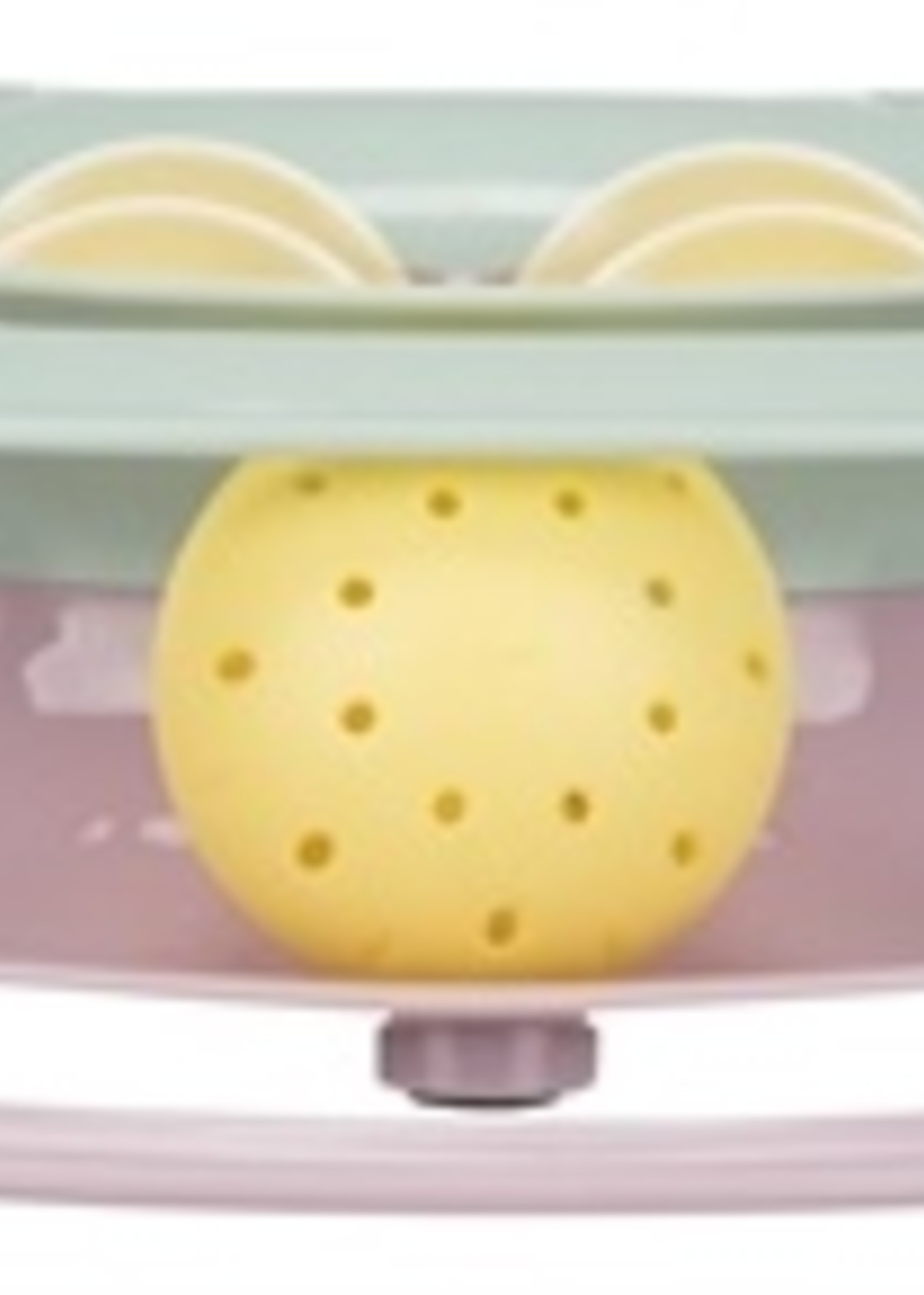 Trixie Trixie junior kitten circle