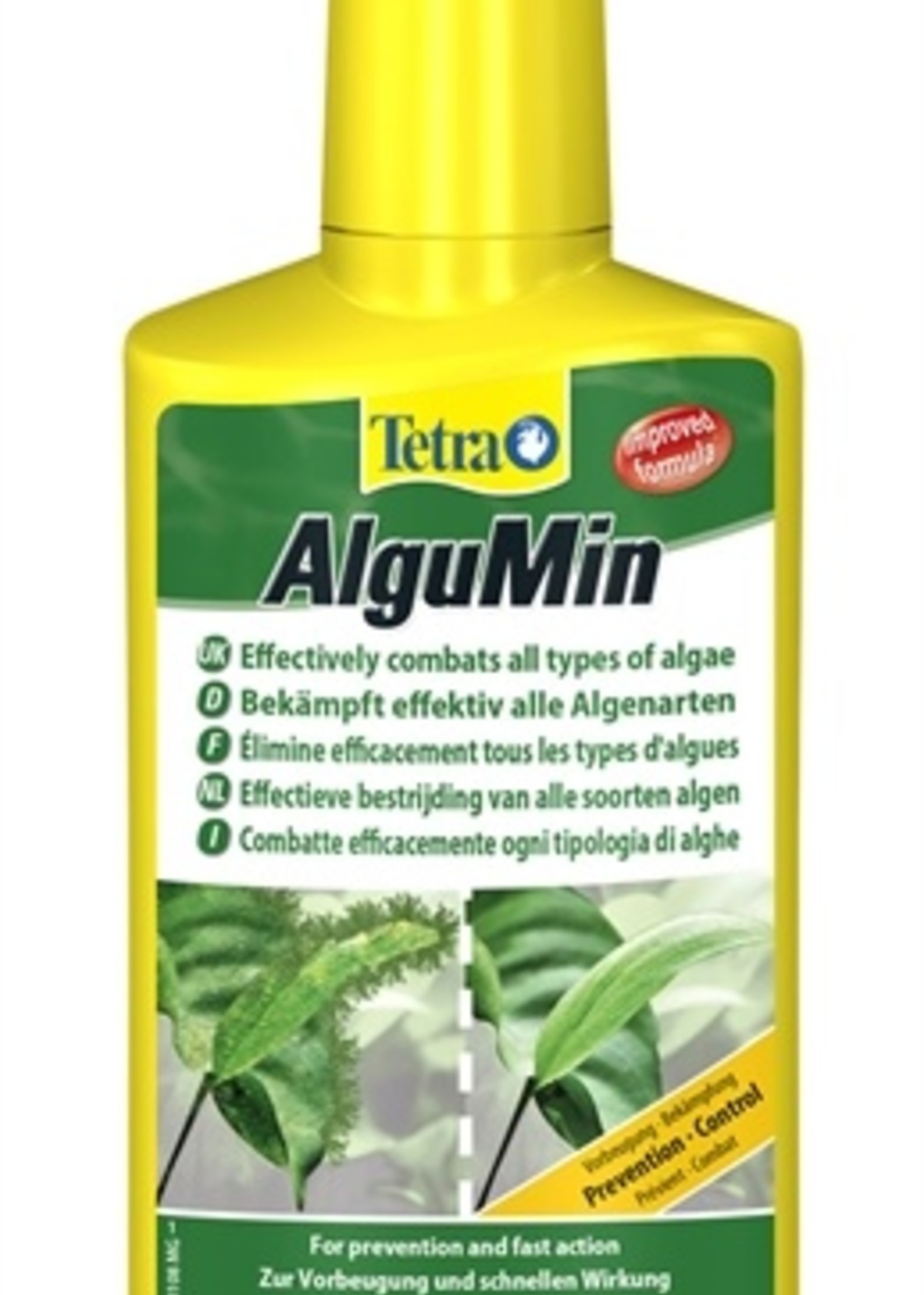 Tetra Tetra aqua algumin algenremmer