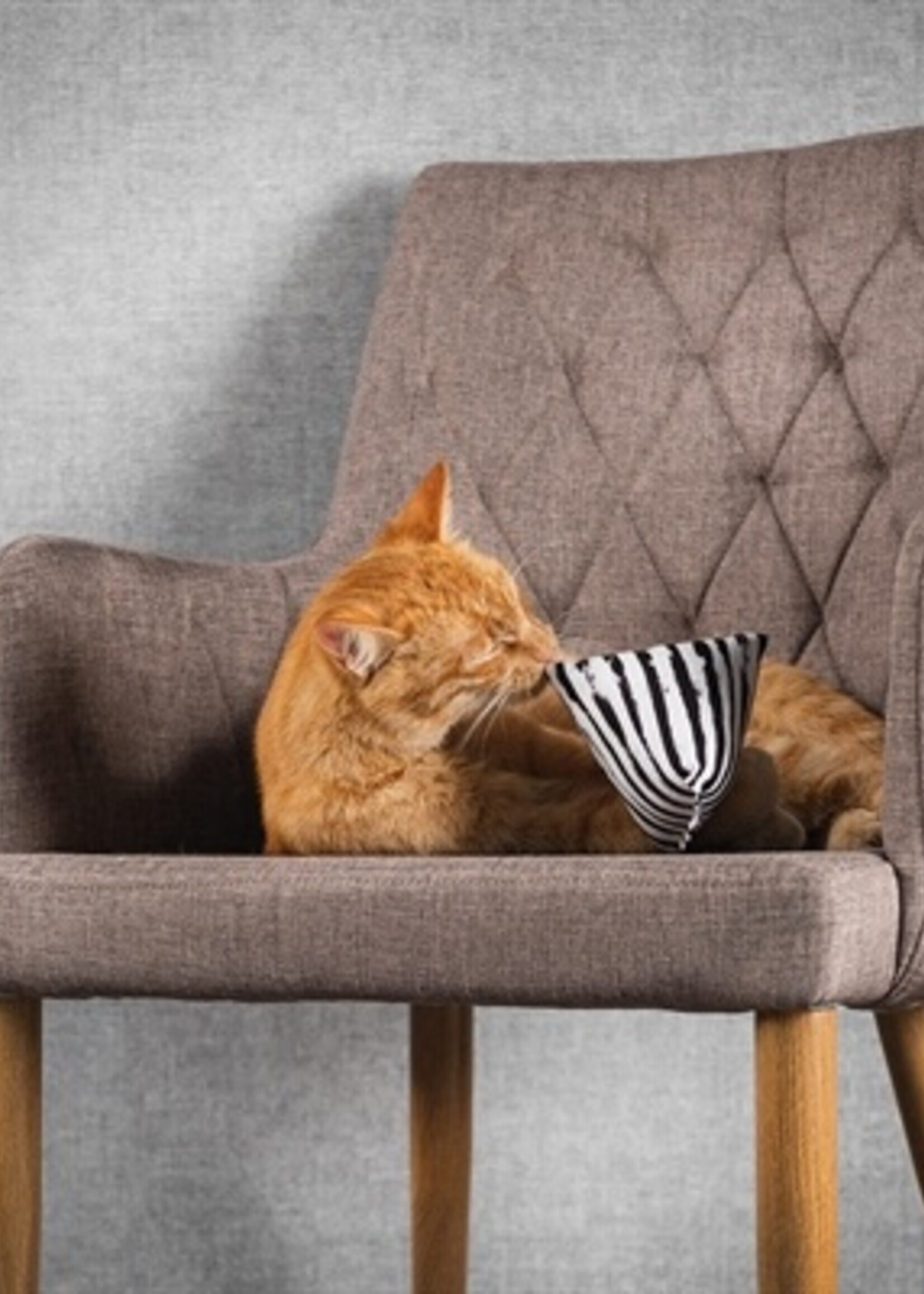 Canadiancat company Canadian cat mini pyramide set met catnip zwart / wit