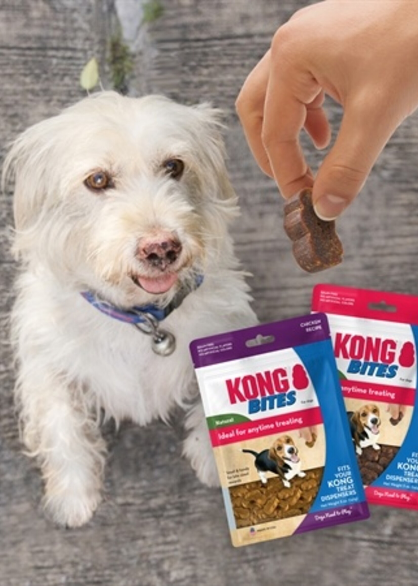 Kong Kong bites kip