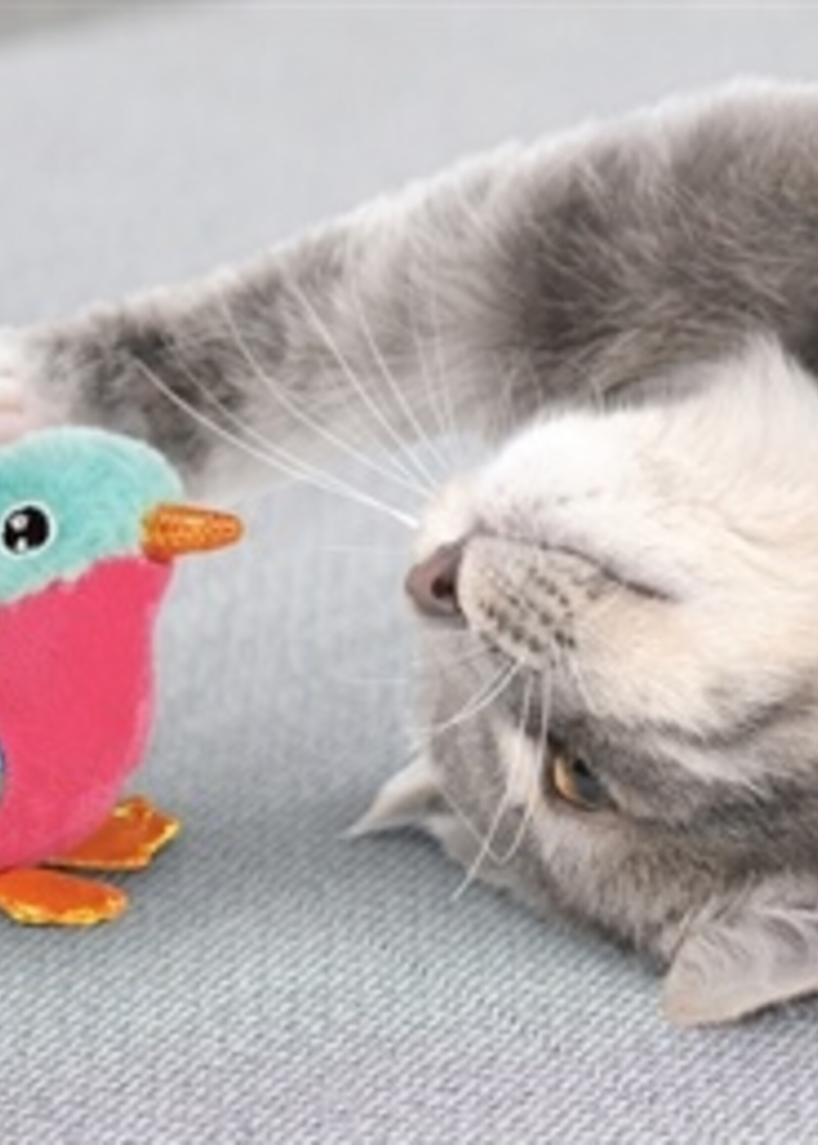 Kong Kong crackles tweezbird