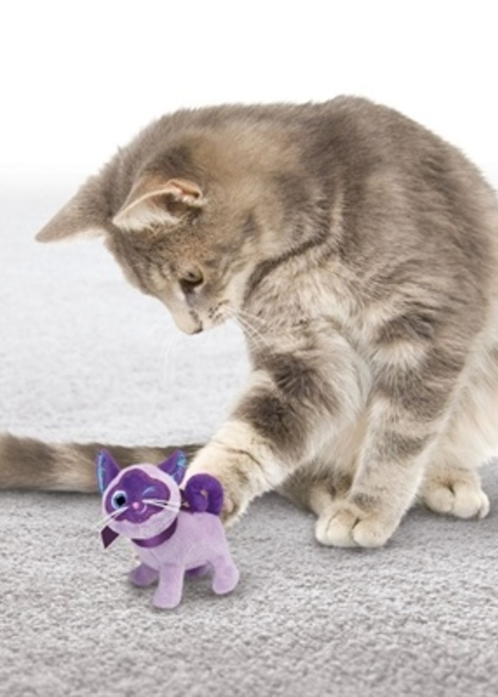 Kong Kong crackles winkz kat