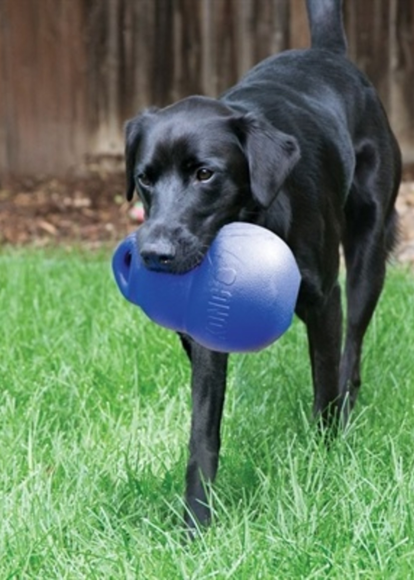 Kong Kong bounzer ultra blauw