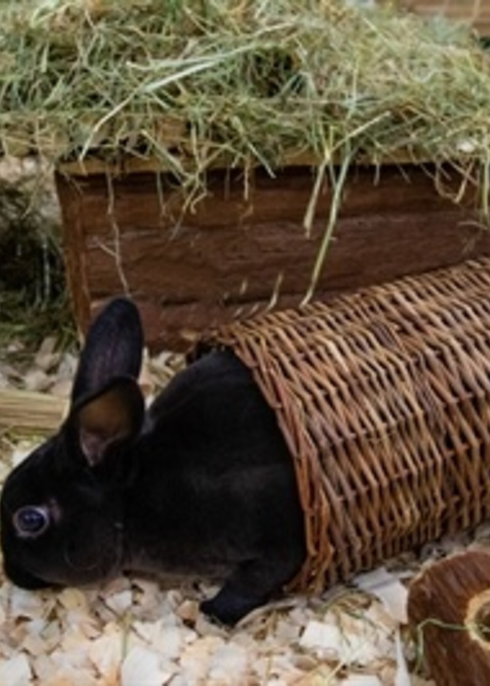 Happy pet Happy pet wilgen tunnel